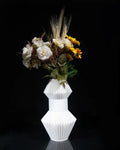 Anter Vase image 0
