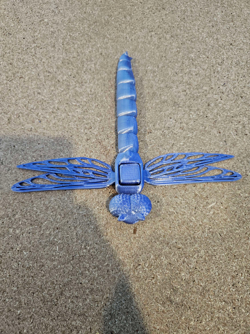 Dragon Flying  image 0