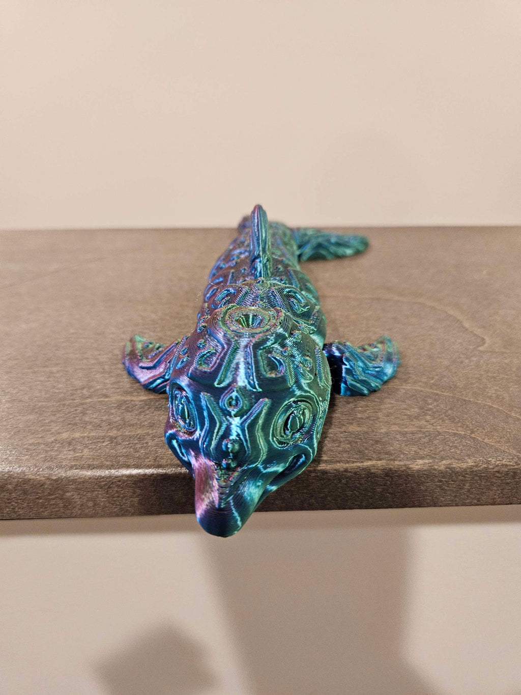 Dolphins  image 1