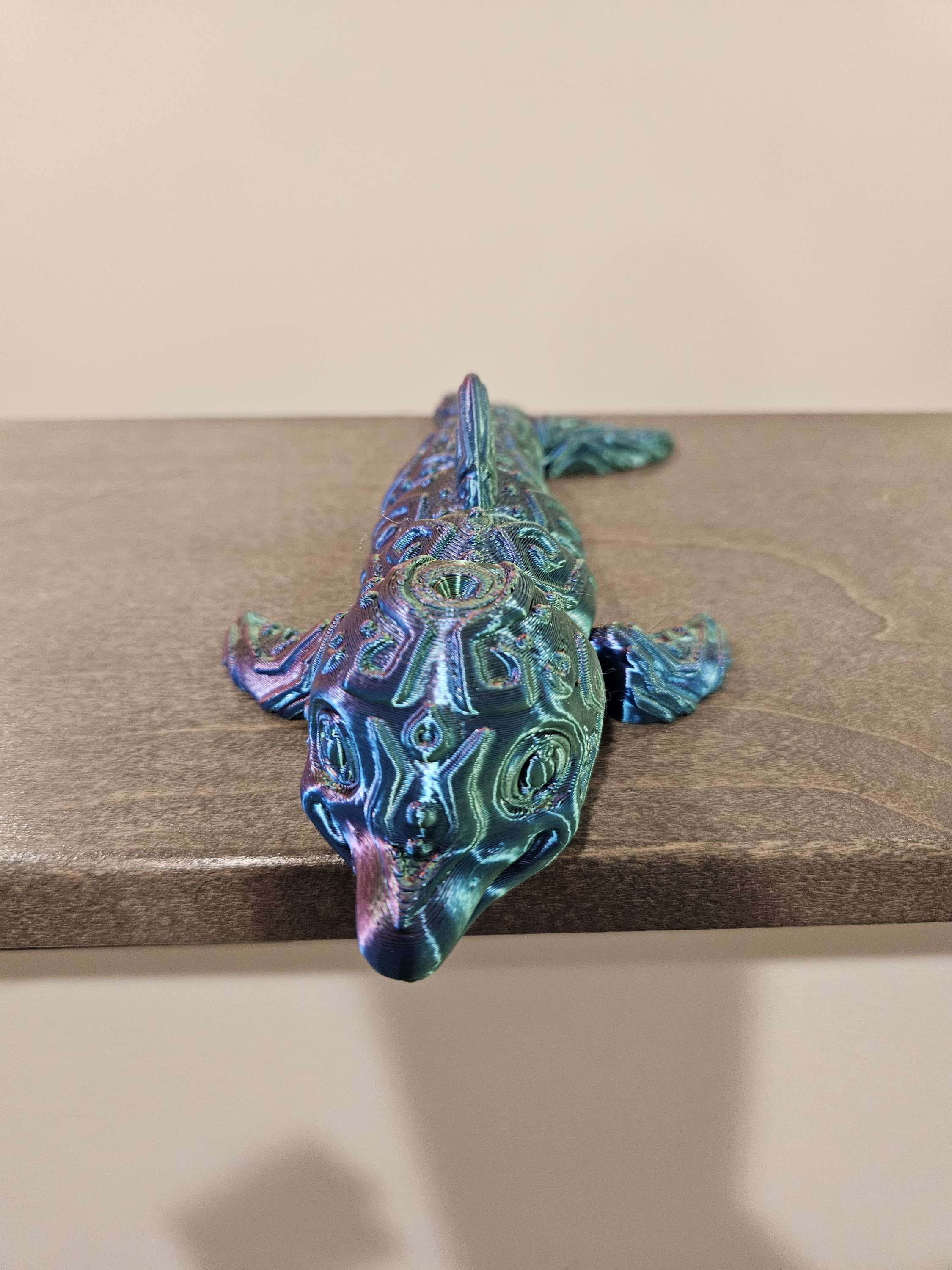 Dolphins  image 1