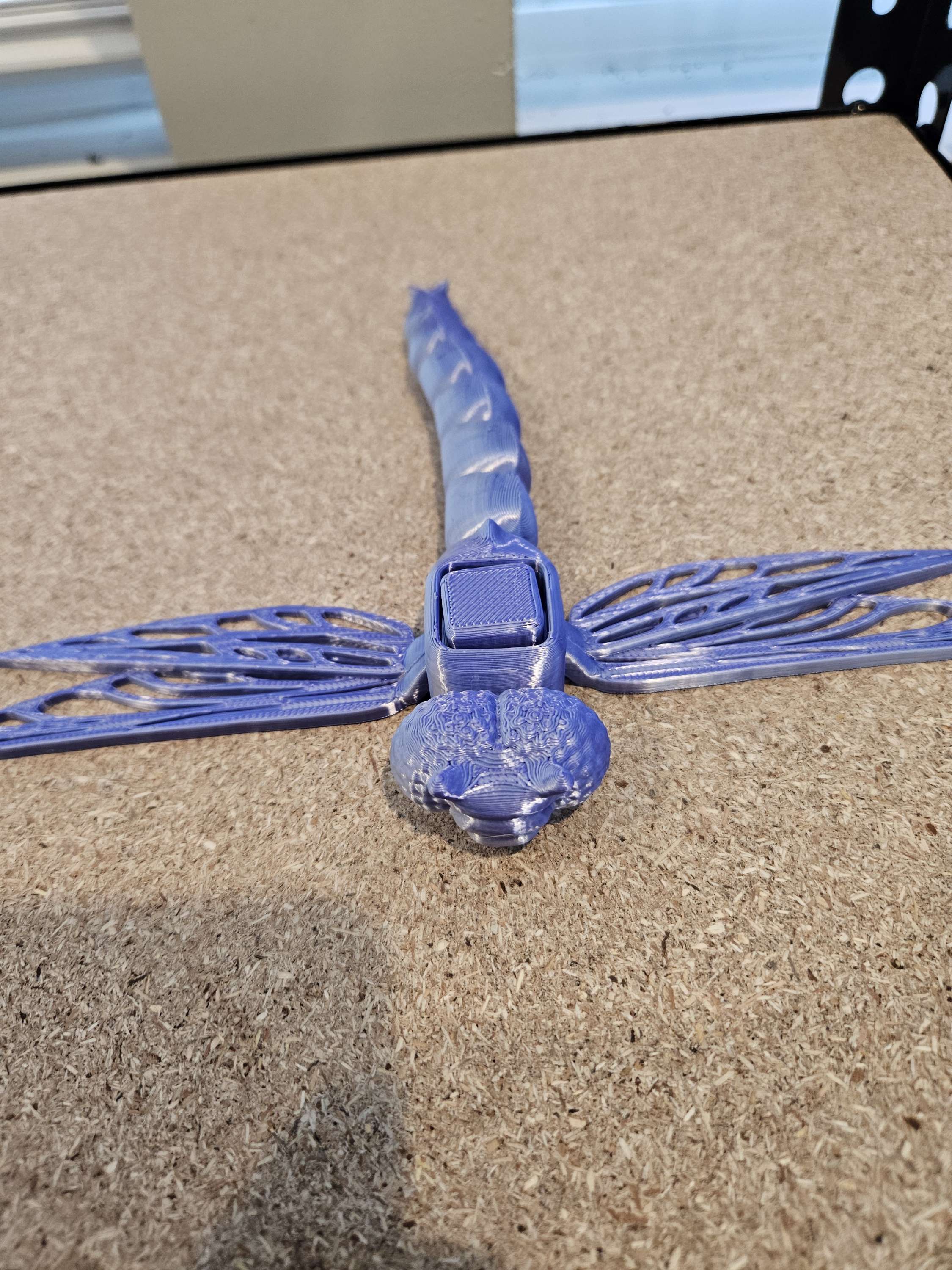 Dragon Flying  image 1