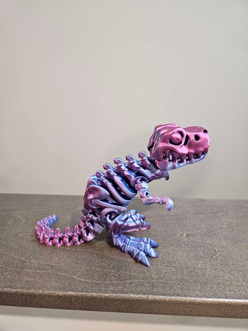 Skeleton T Rex  image 7
