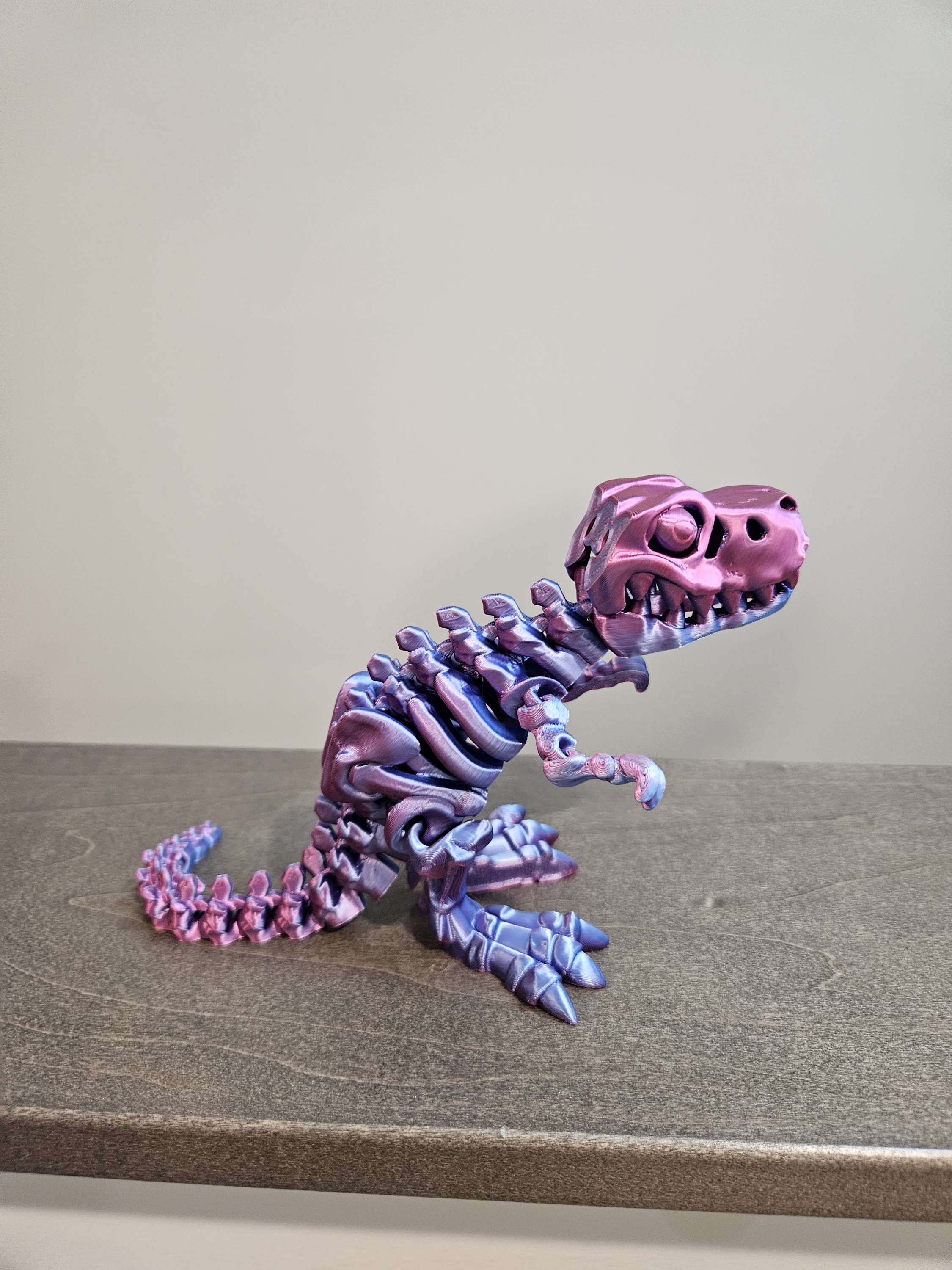 Skeleton T Rex  image 7