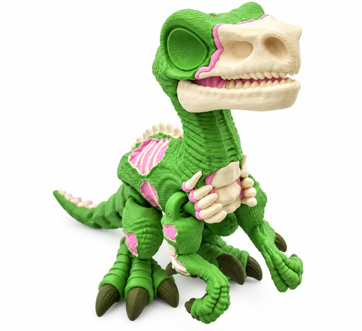 Flexi Zombie Raptor fidget toy by DJM 3D SHOP featuring a detailed zombie raptor design for stress relief and sensory play.