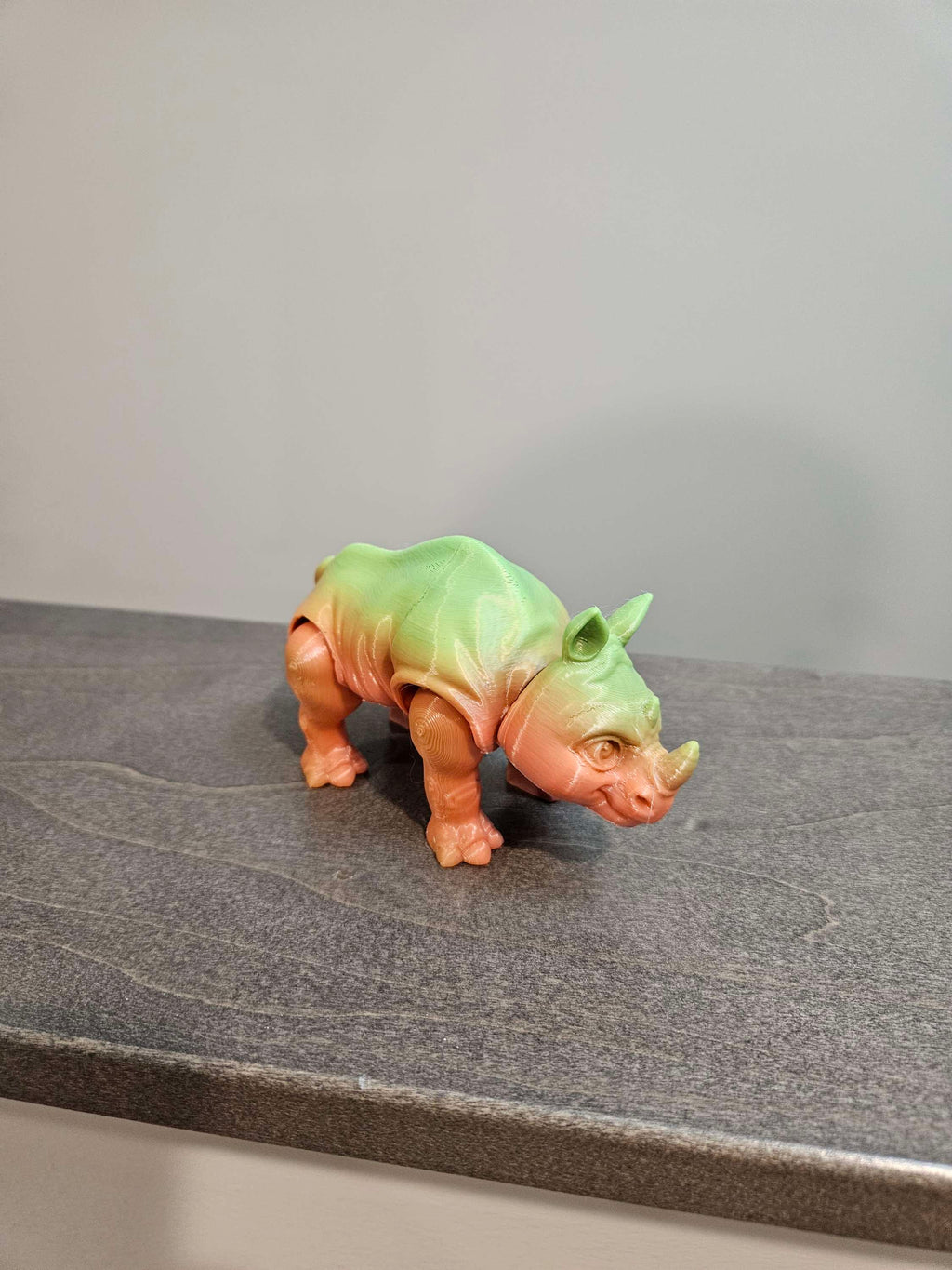 Rhino image 1