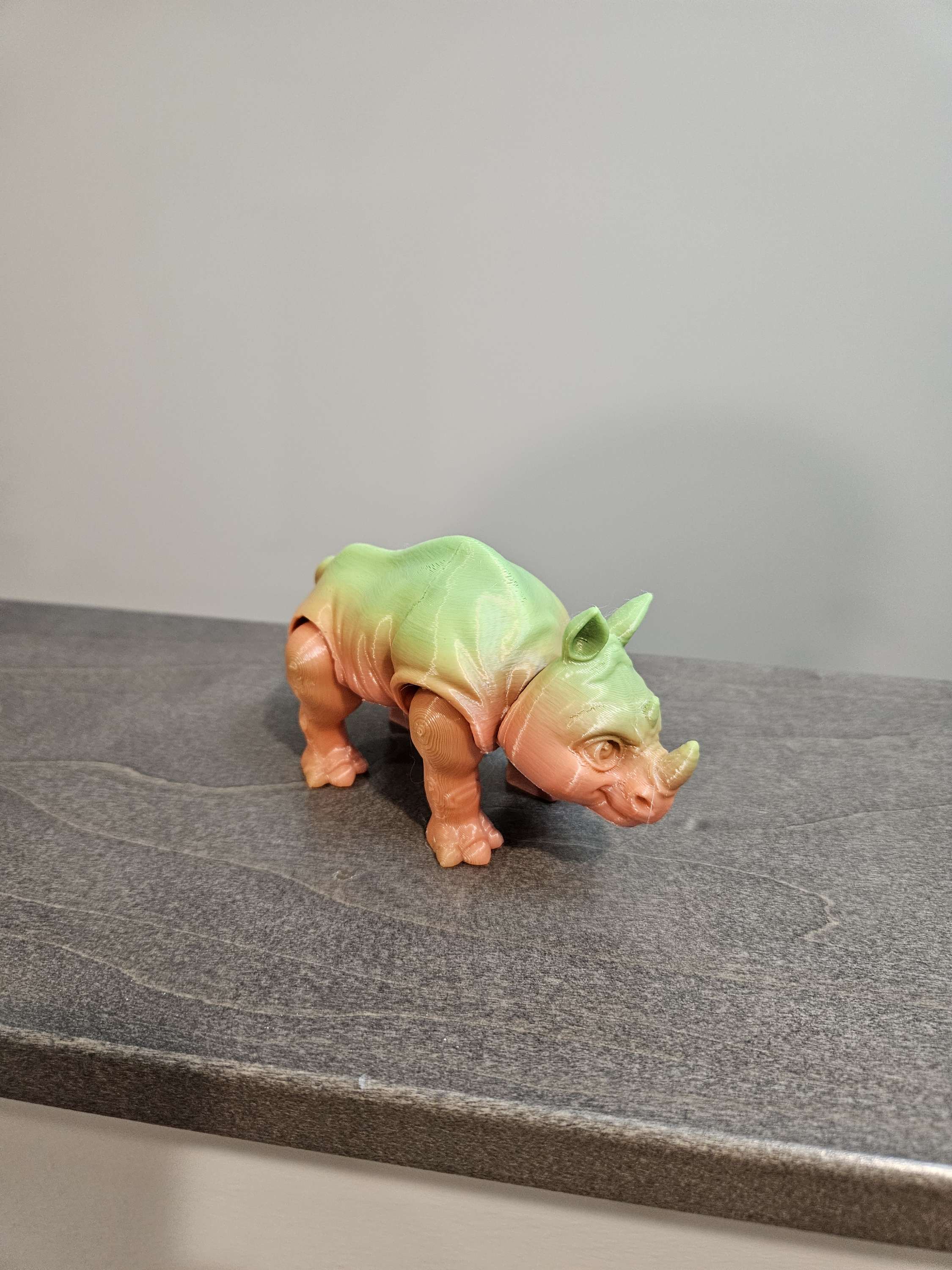 Rhino image 1