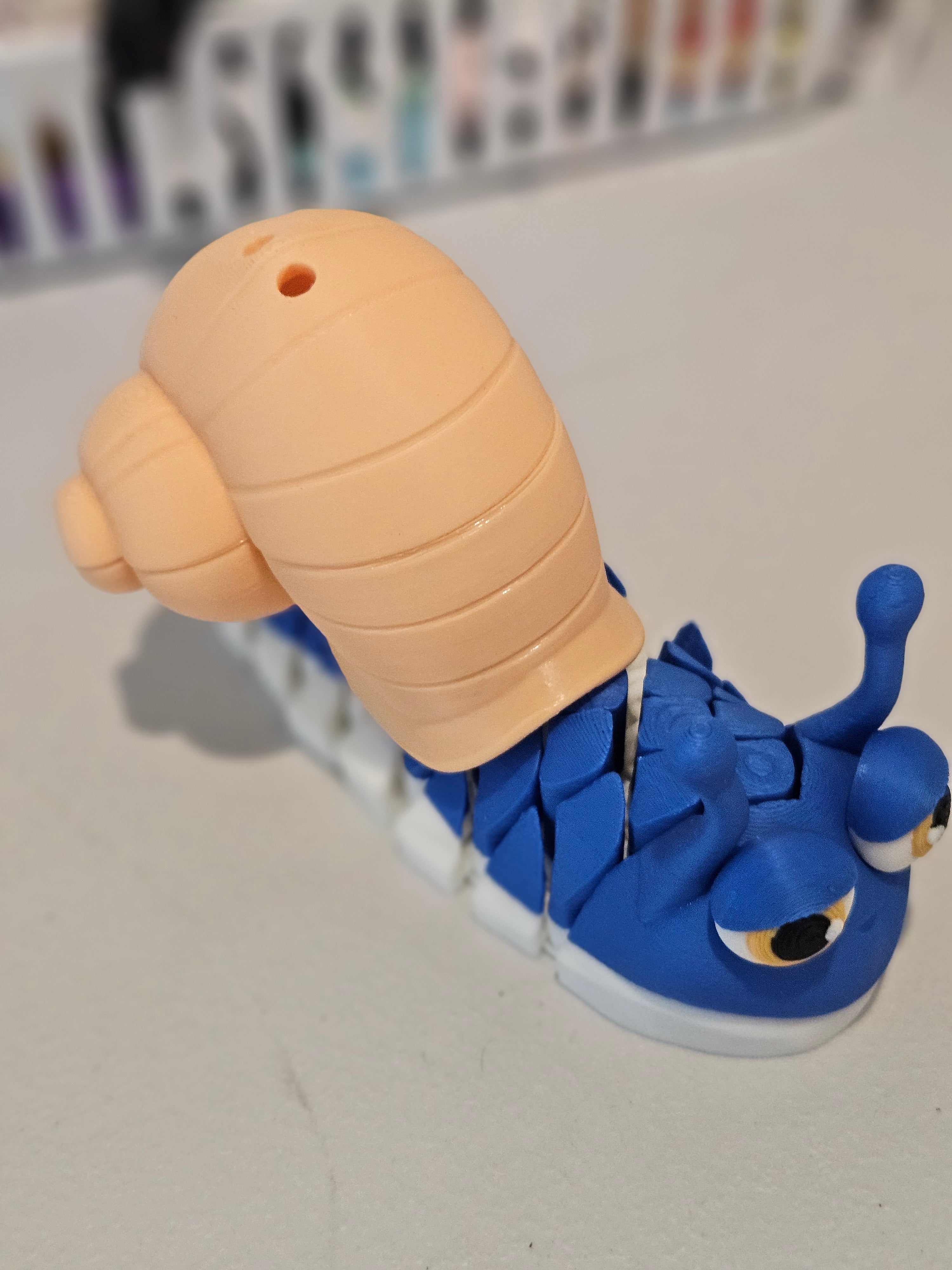 Snail  image 0