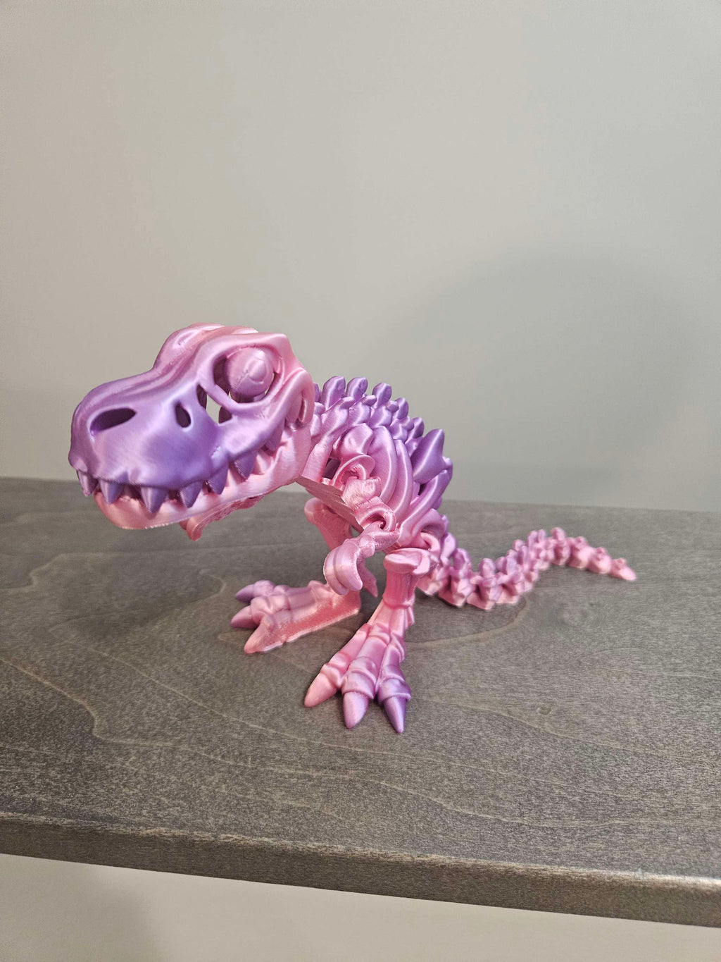 Skeleton T Rex  image 4