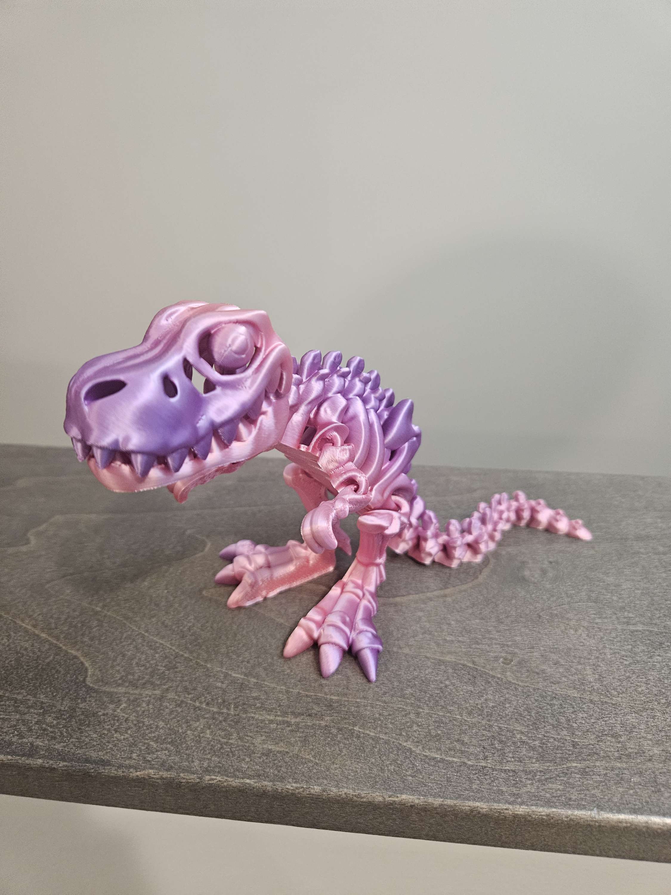 Skeleton T Rex  image 4
