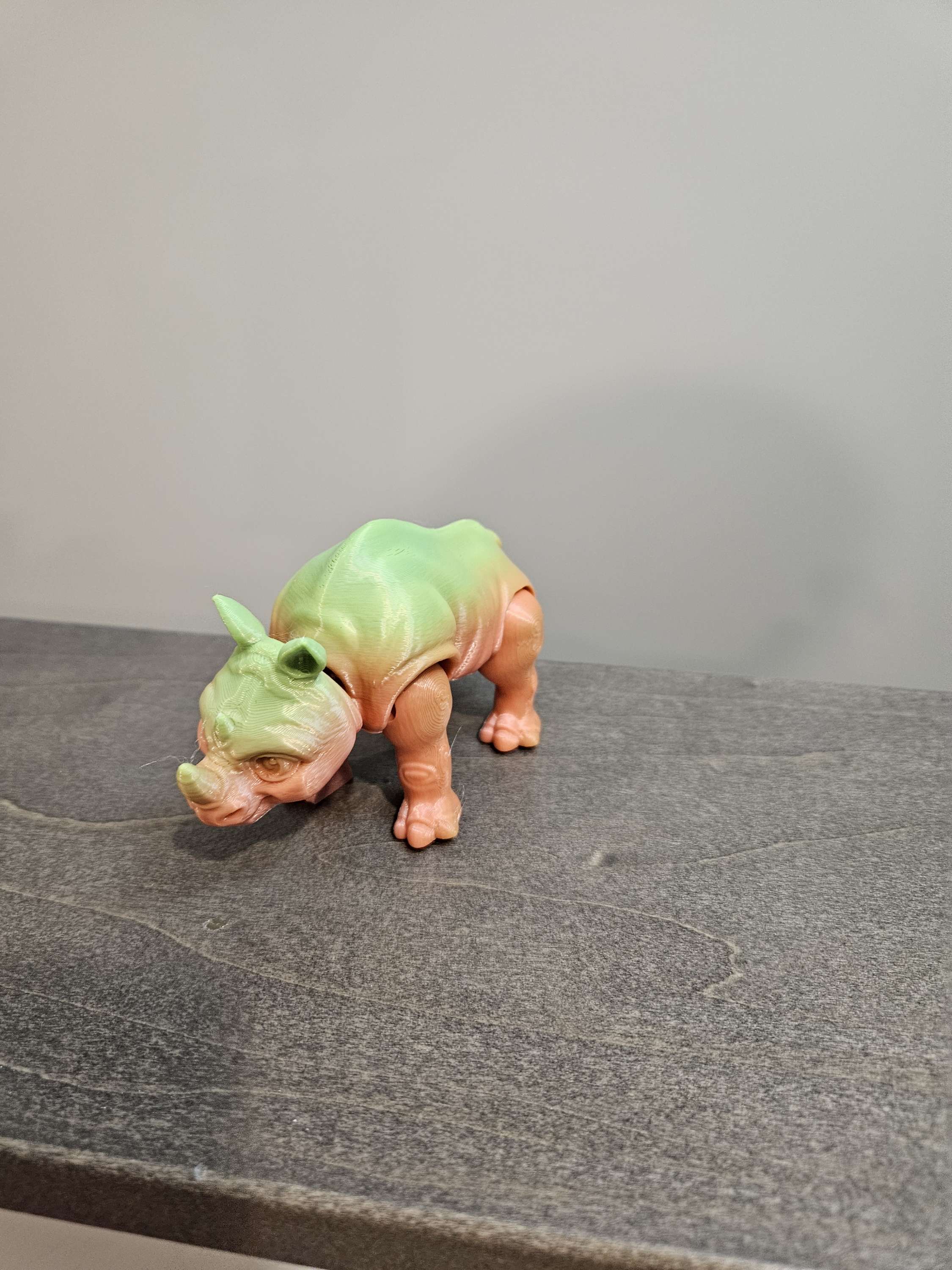 Rhino image 0