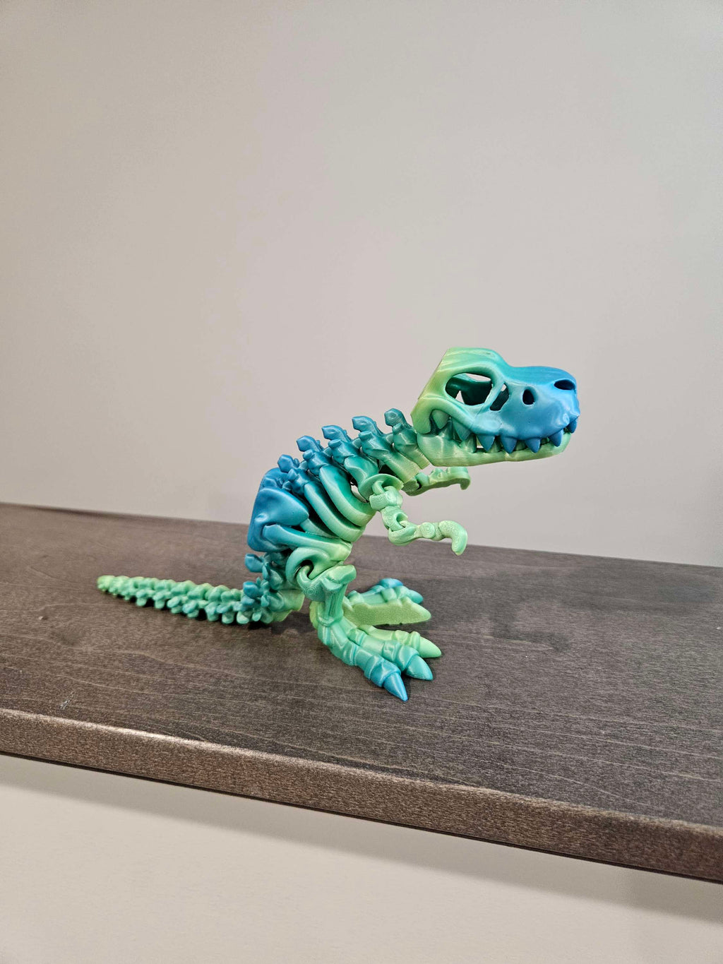Skeleton T Rex  image 9