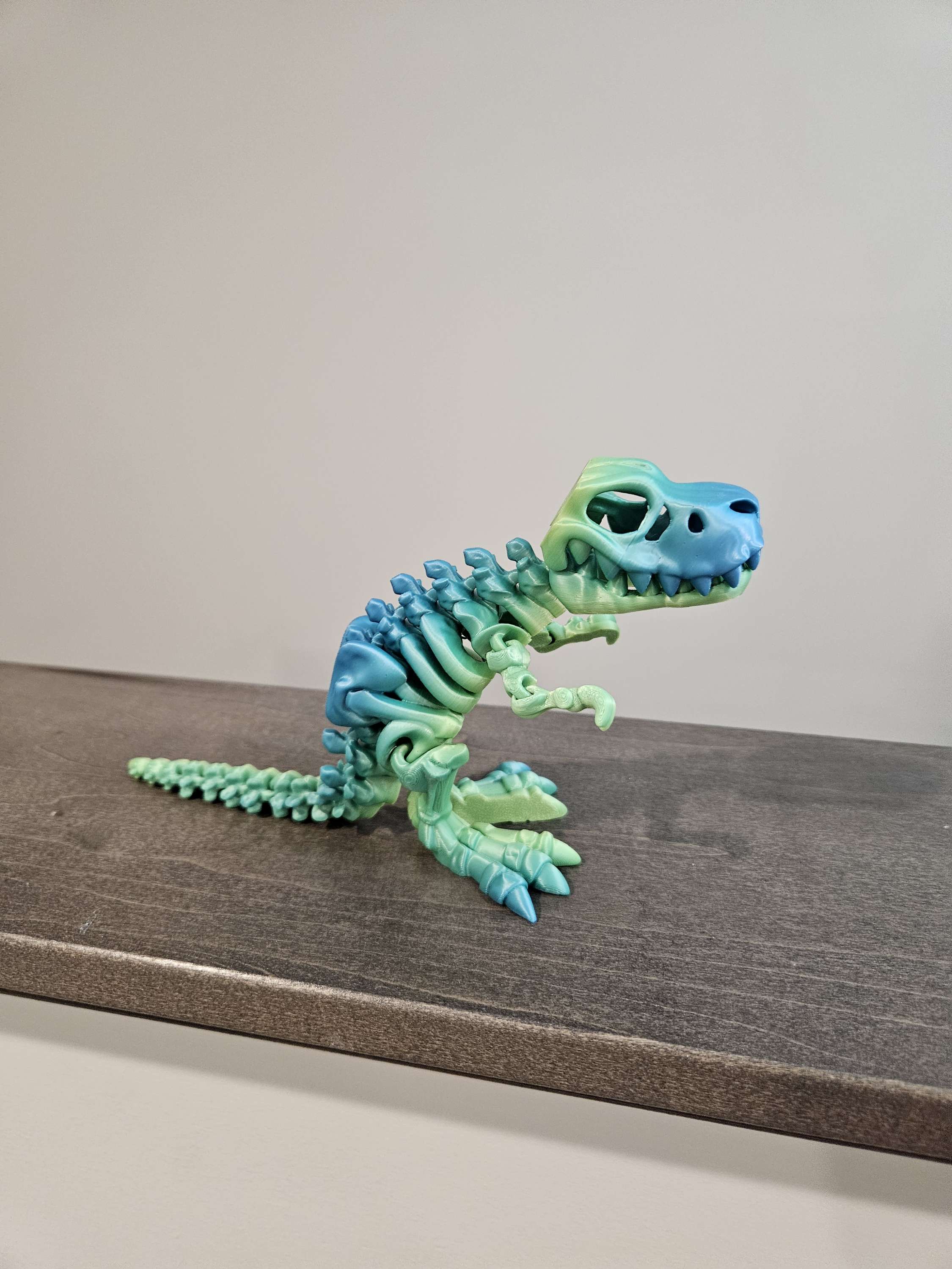 Skeleton T Rex  image 9