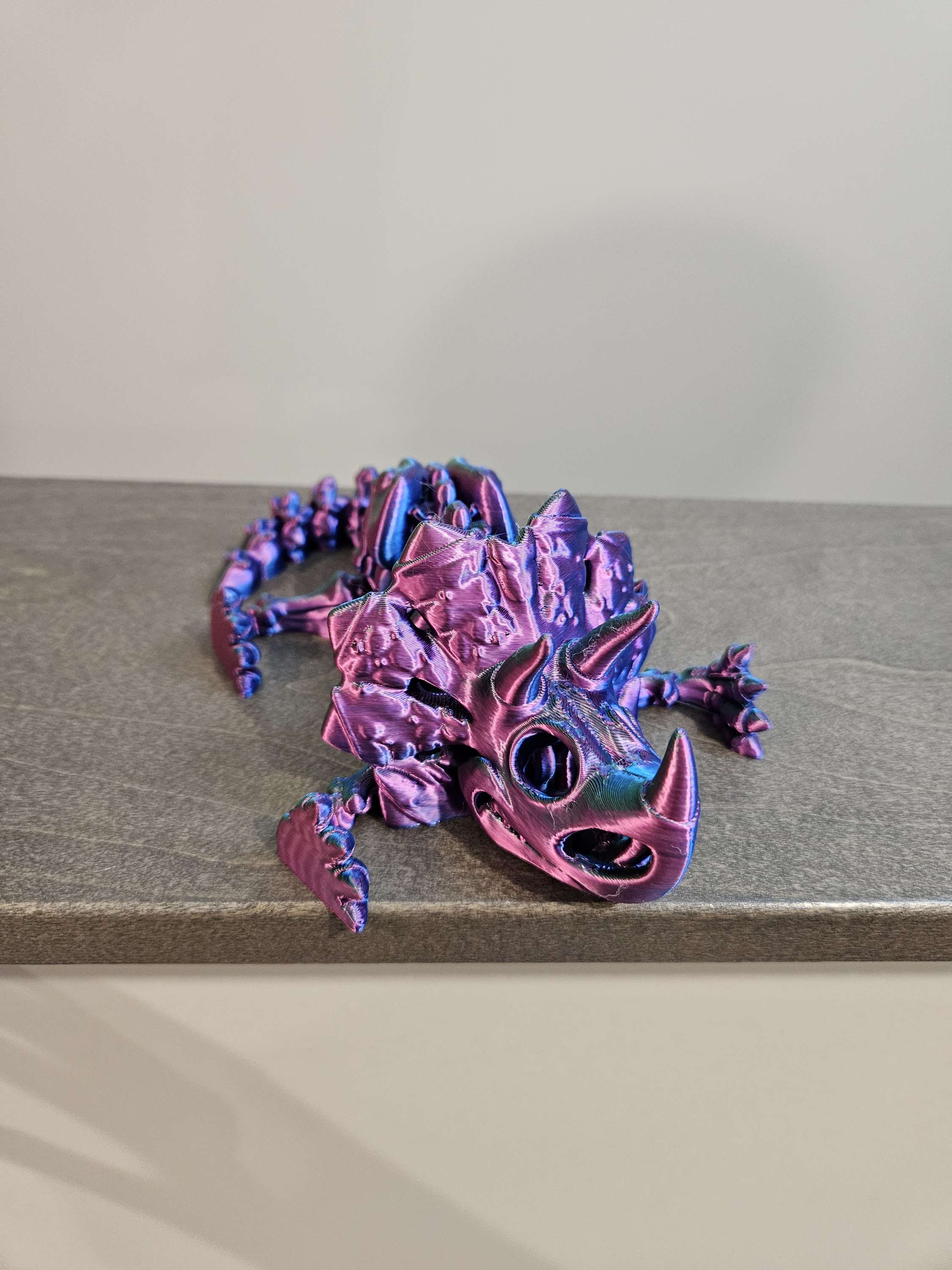 Skeleton Triceratops image 3