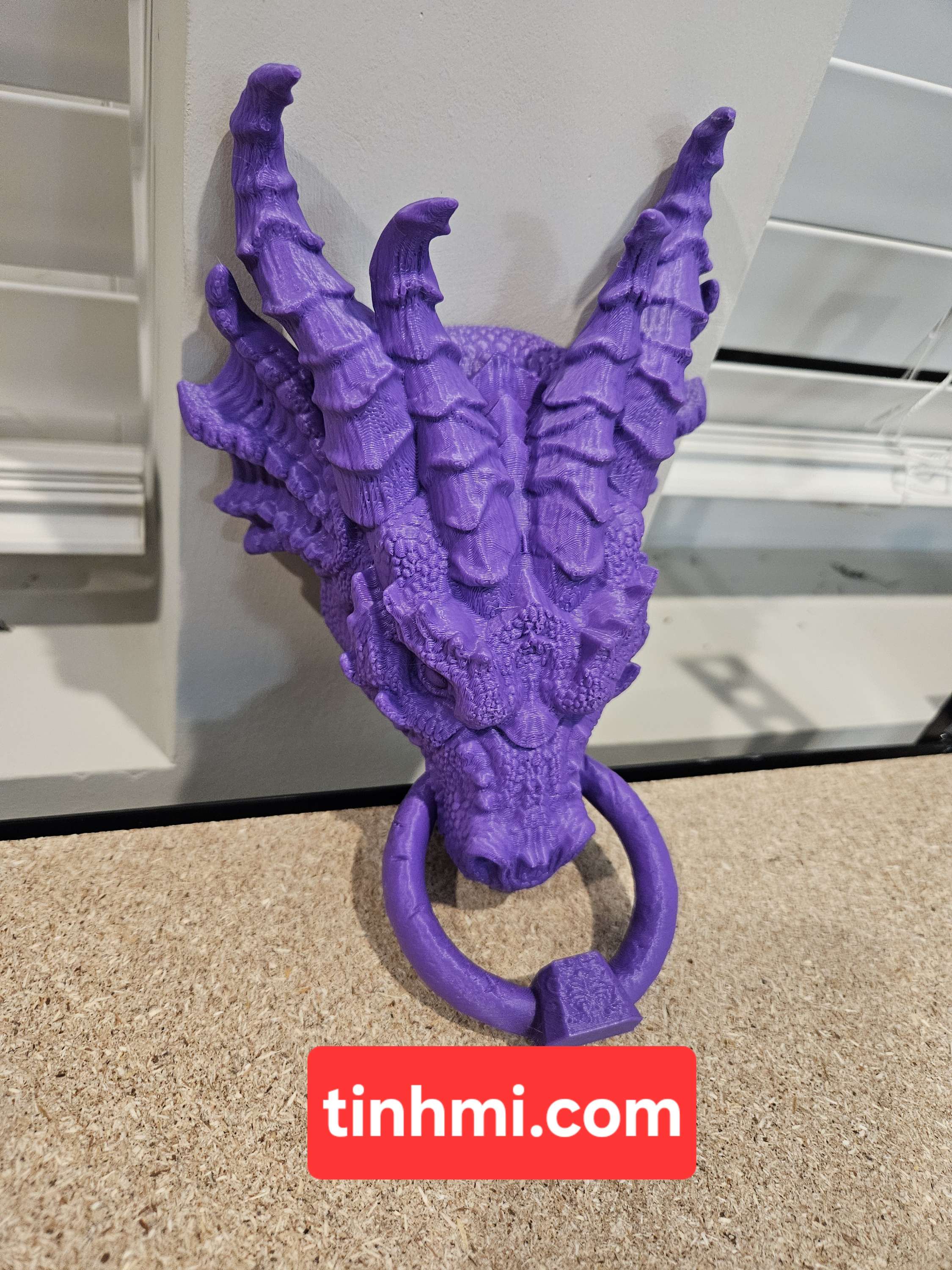 Dragon door knocker image 3