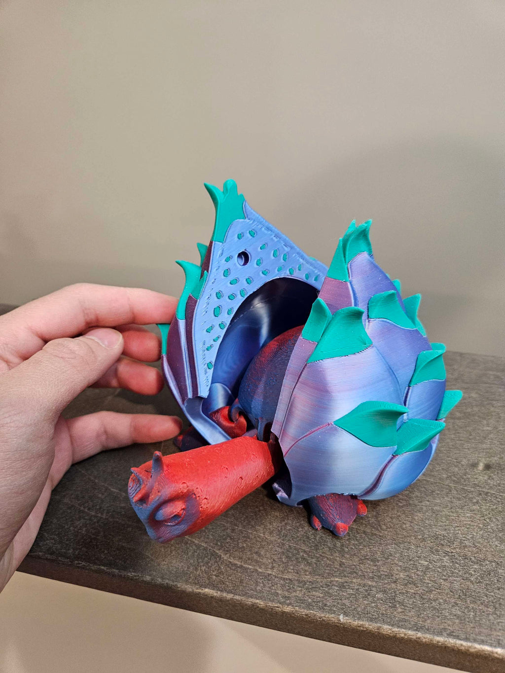 Turtle fruit  image 2