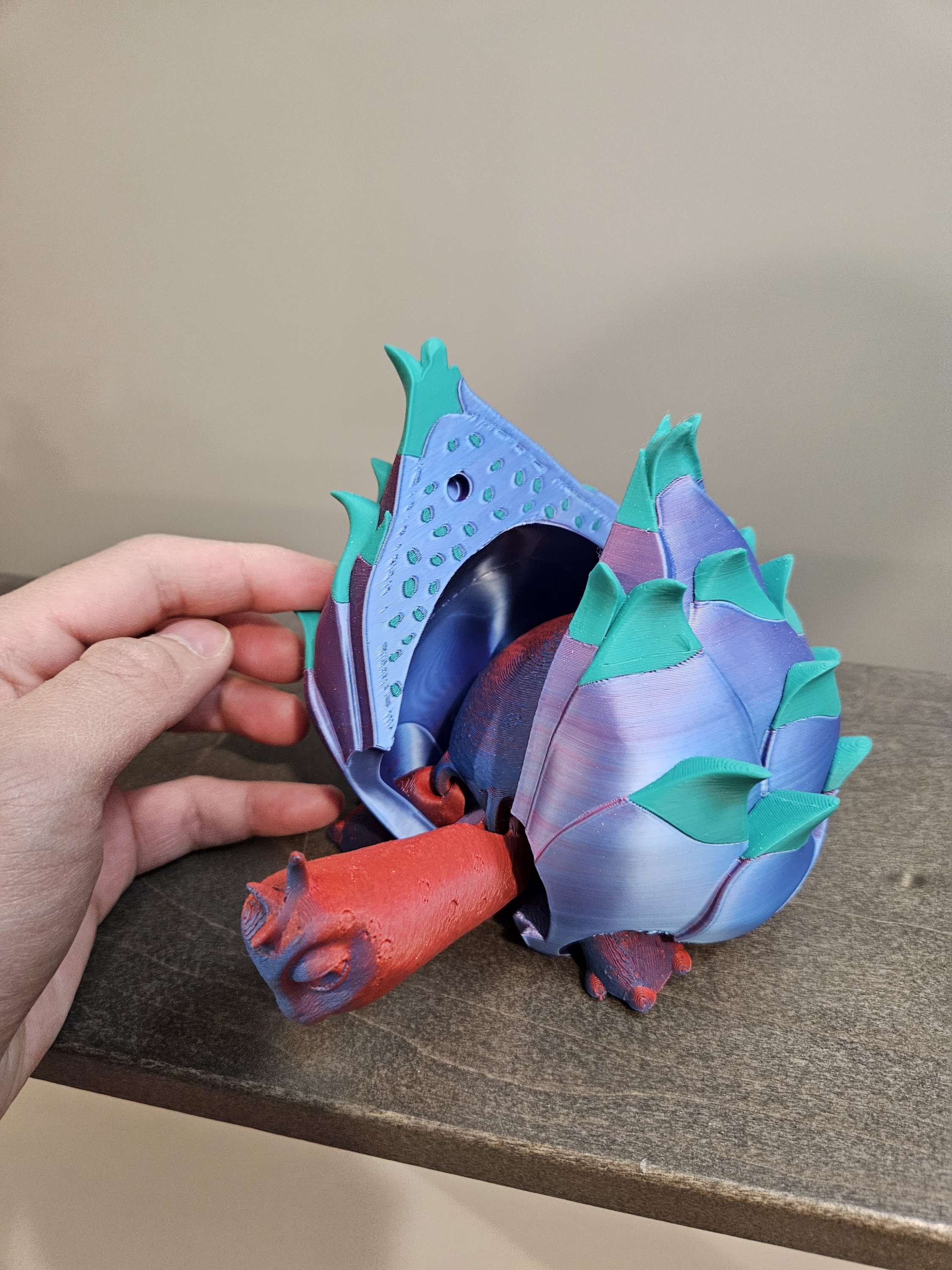 Turtle fruit  image 2