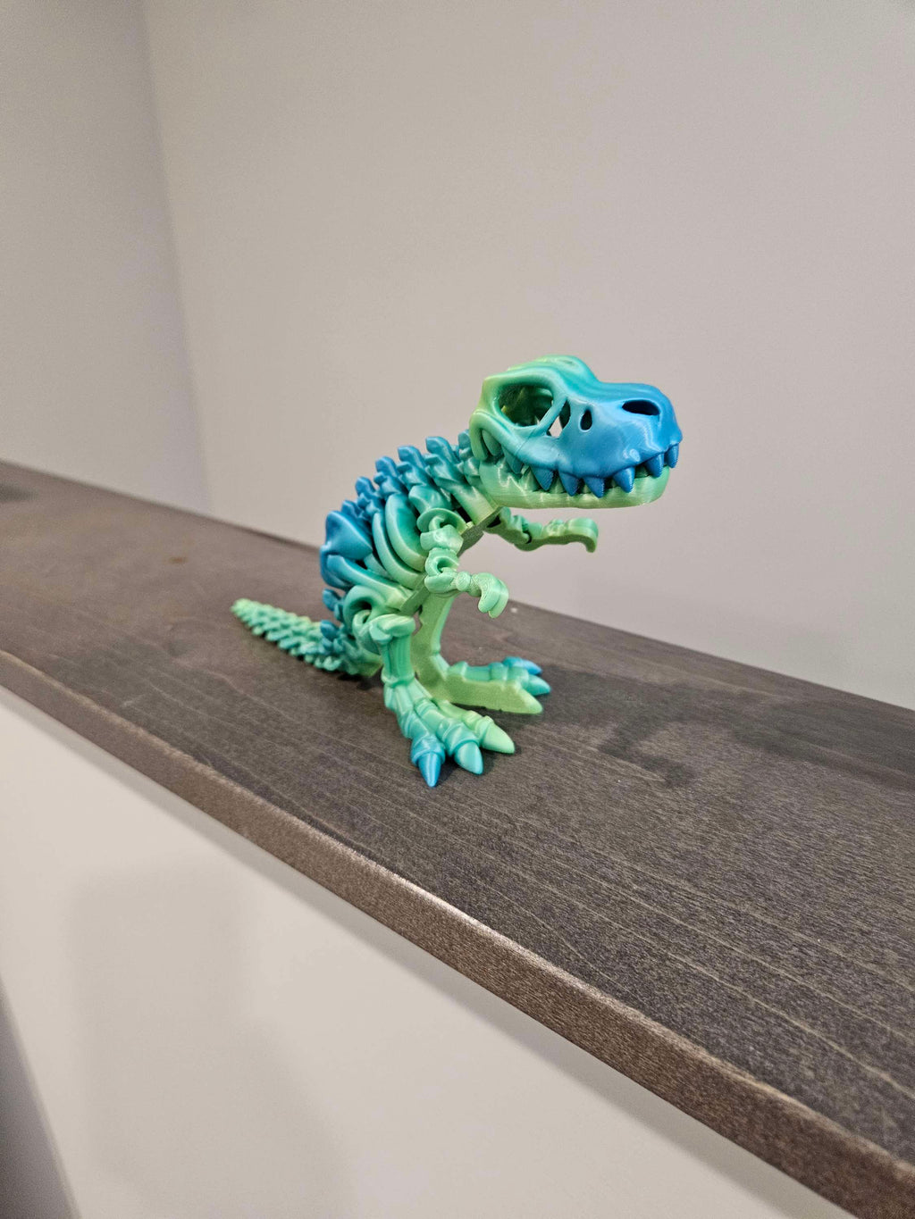 Skeleton T Rex  image 8