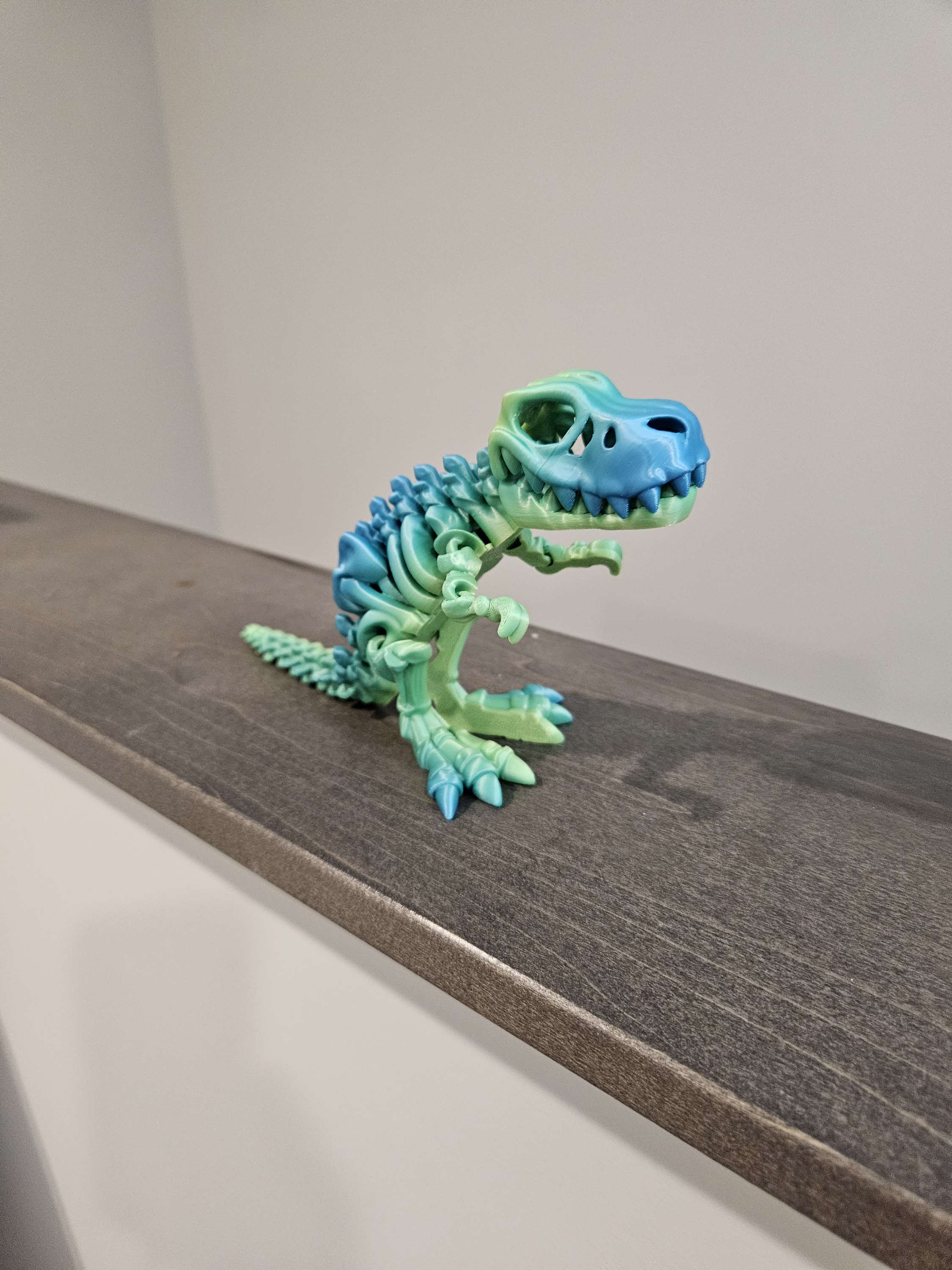 Skeleton T Rex  image 8