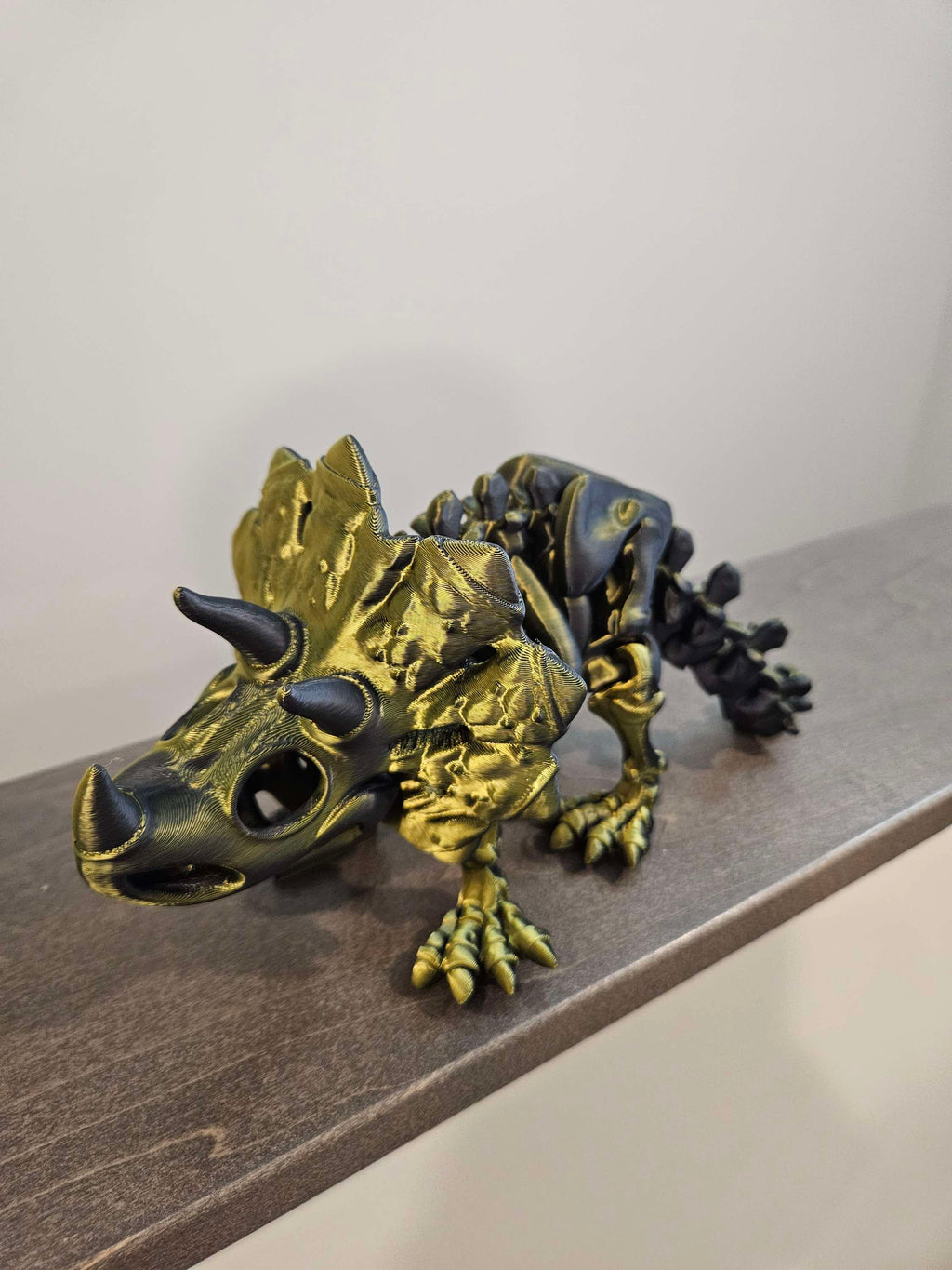 Skeleton Triceratops large size image 3