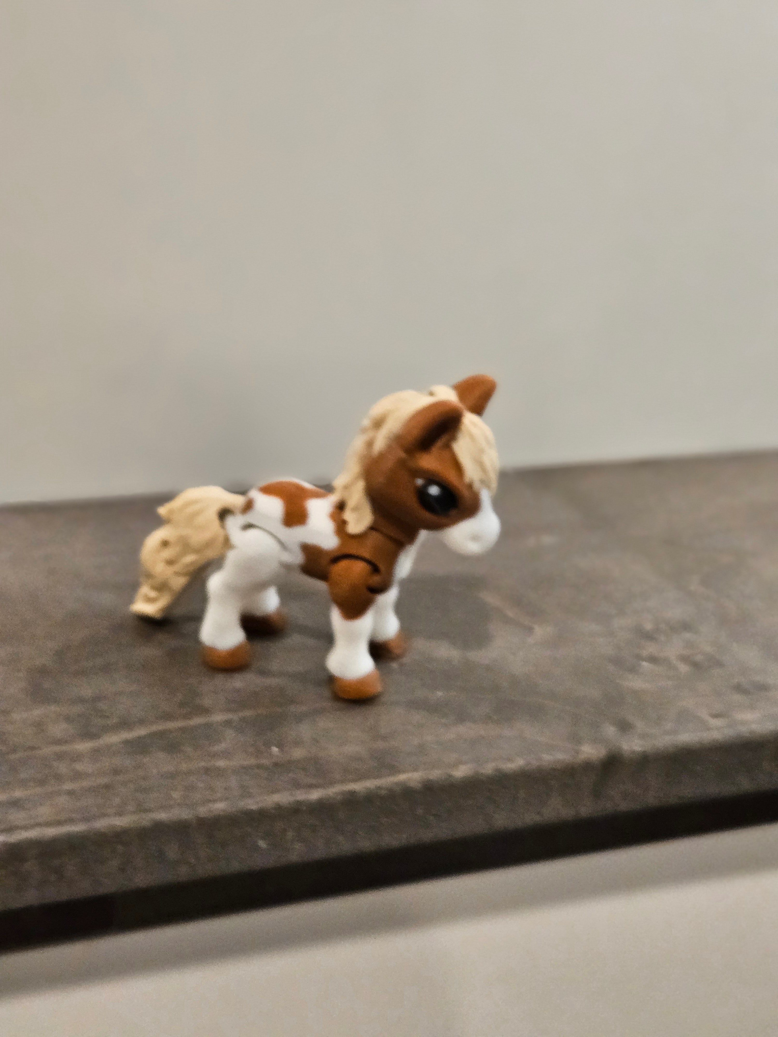 Cute baby horse  image 1