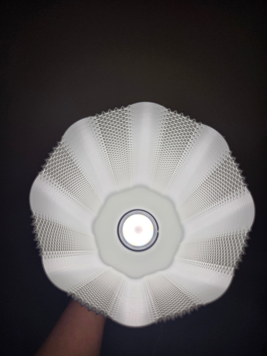 
Otto Pendant Lamp image 2