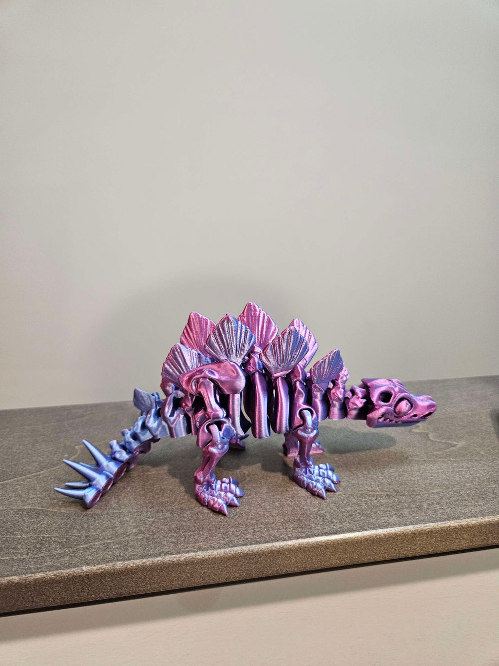 stegodaurus skeleton image 2