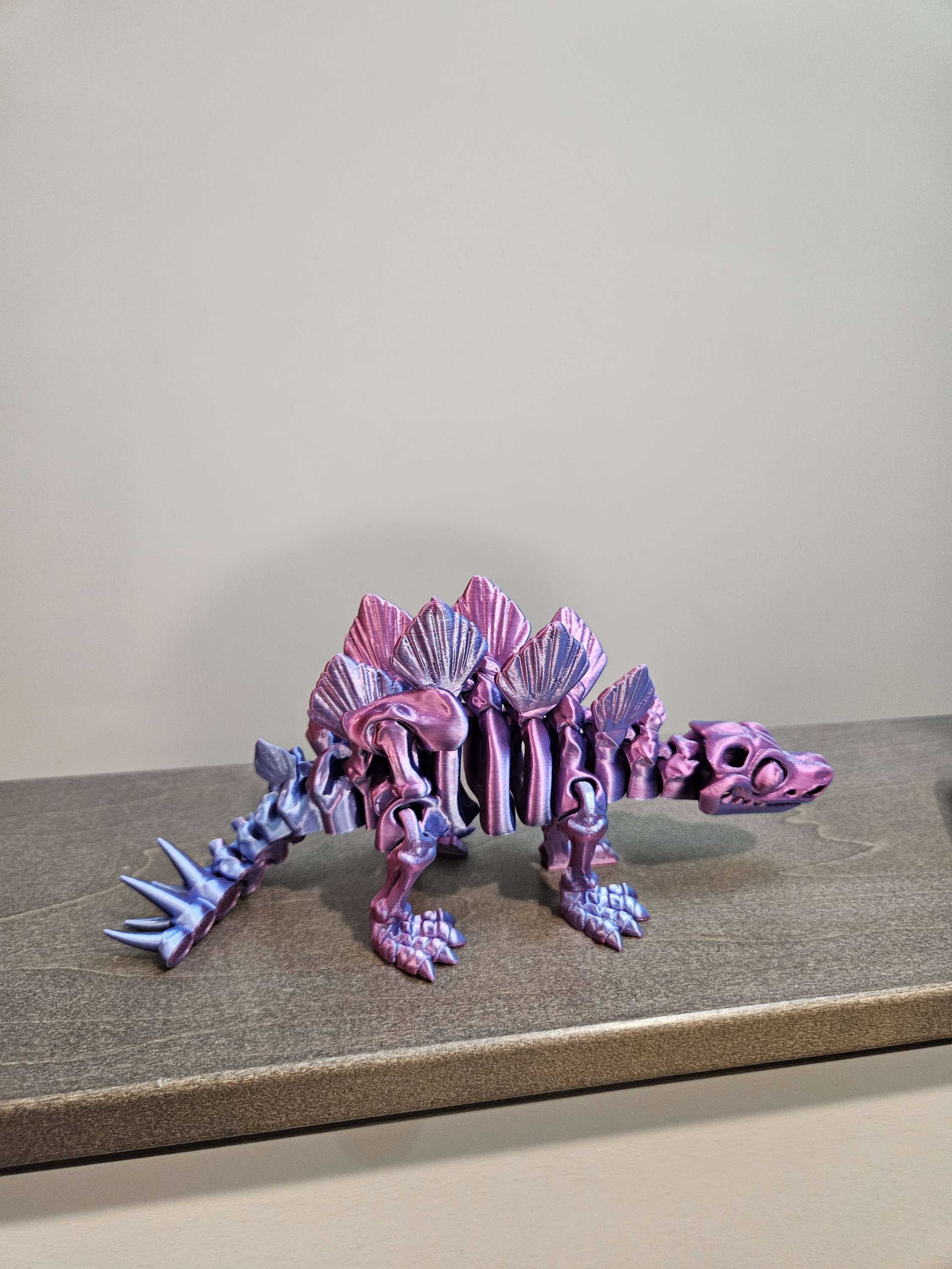 stegodaurus skeleton image 2