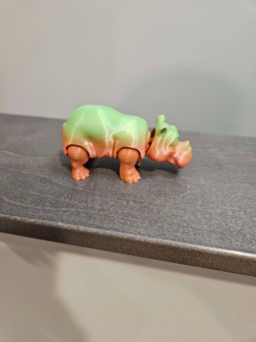 Hippo  image 2