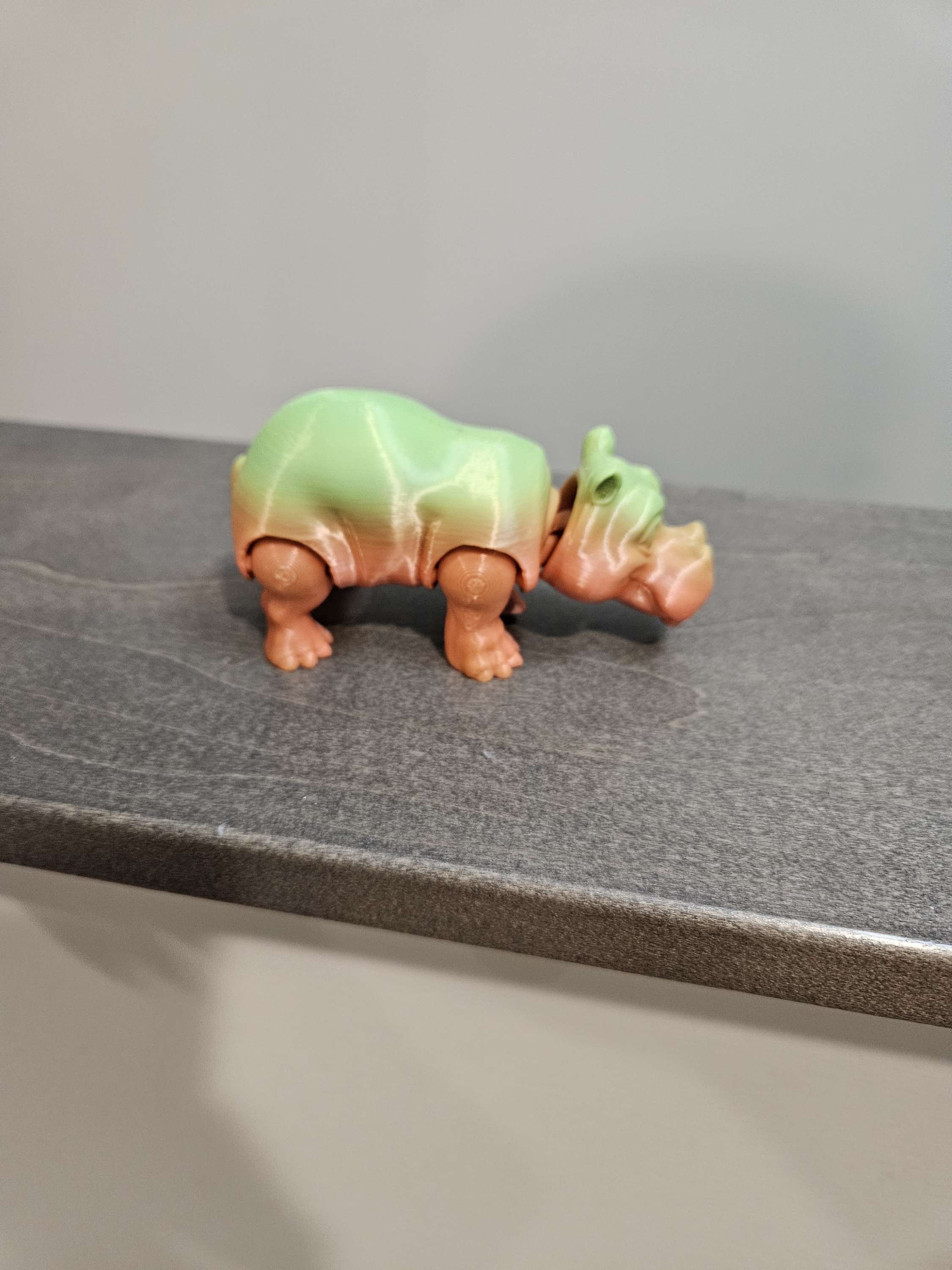 Hippo  image 2