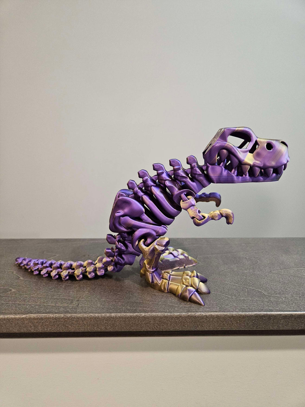 T rex skeleton large size image 4
