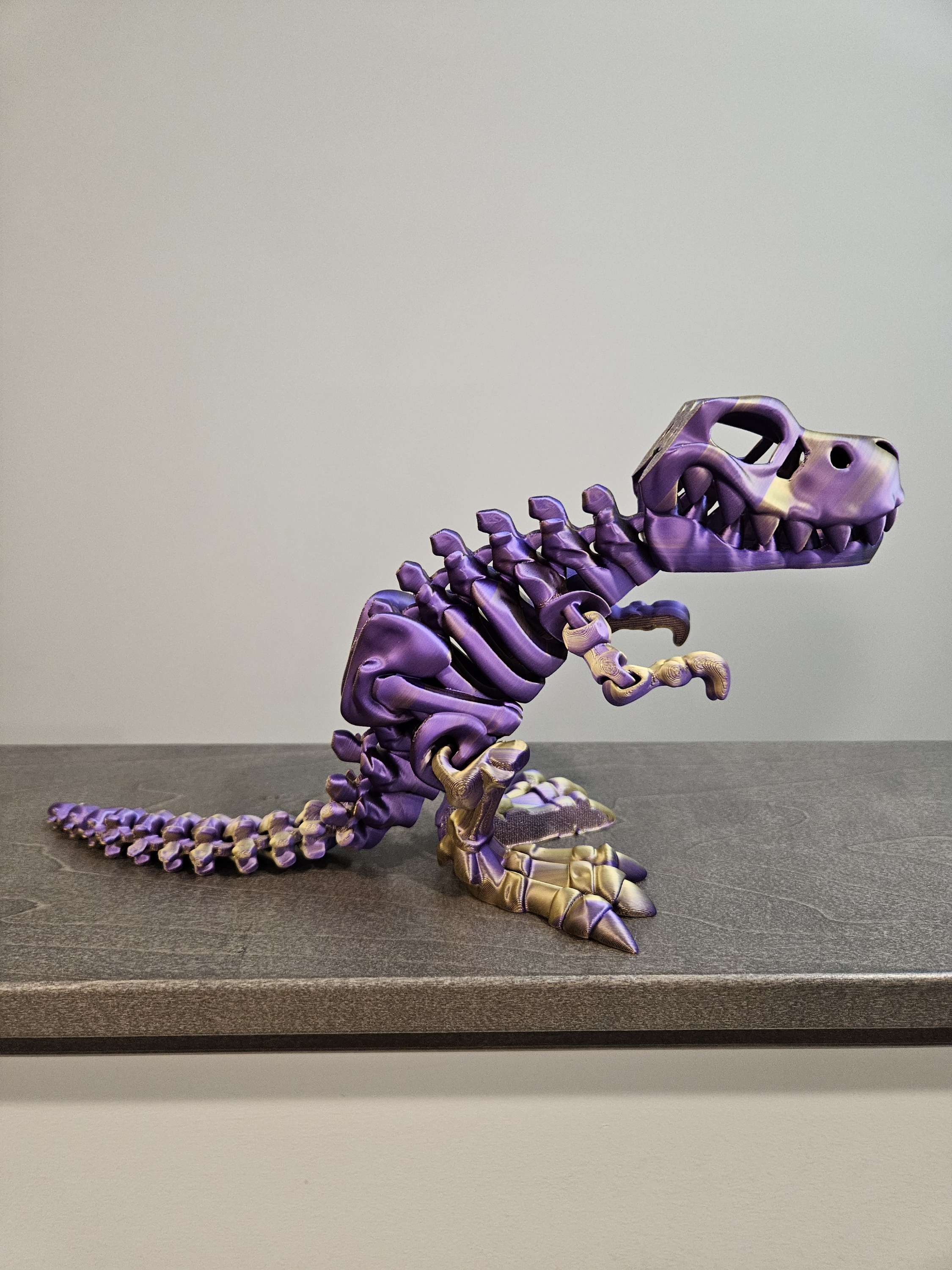 T rex skeleton large size image 4