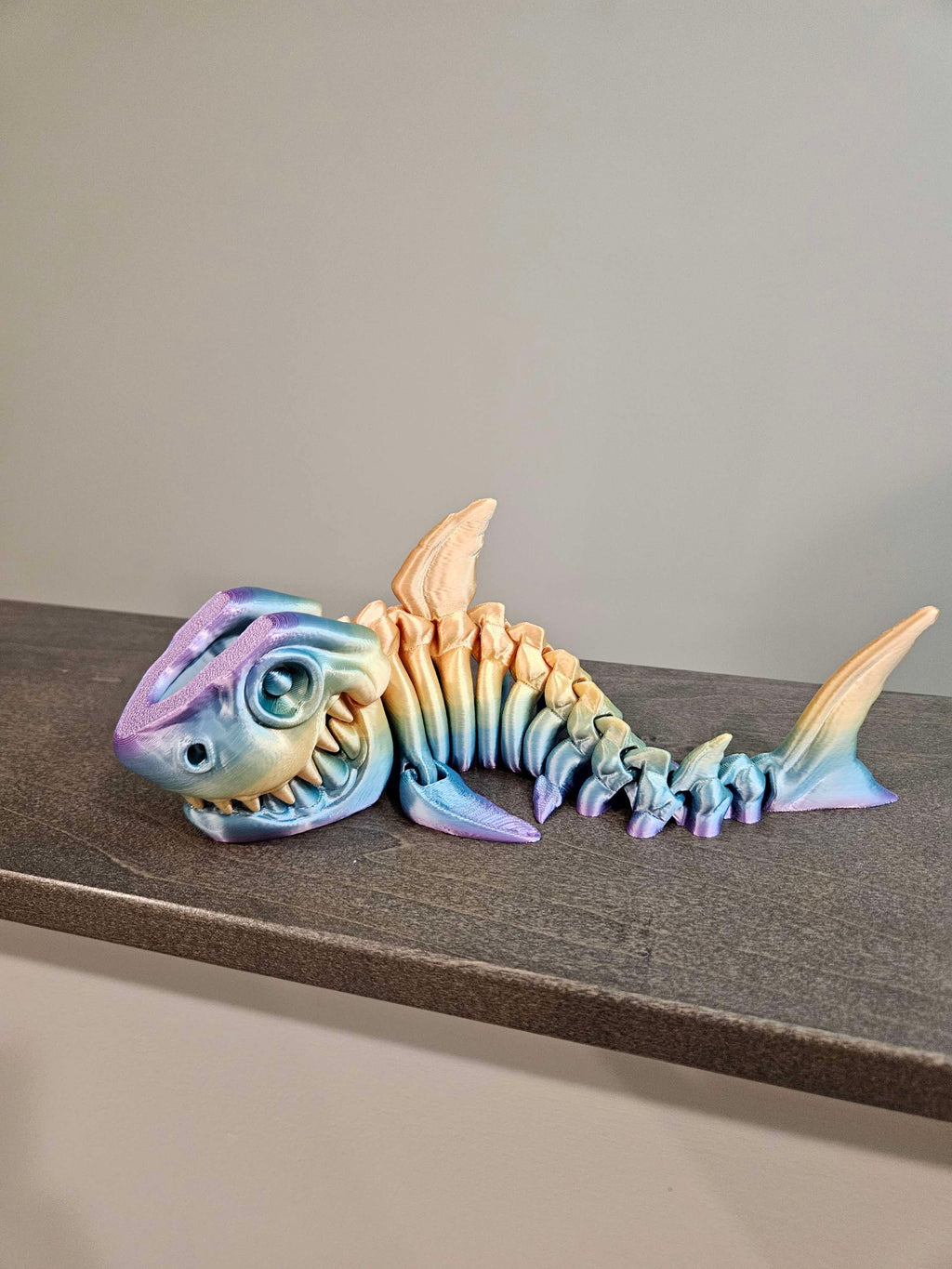 Sharks image 5