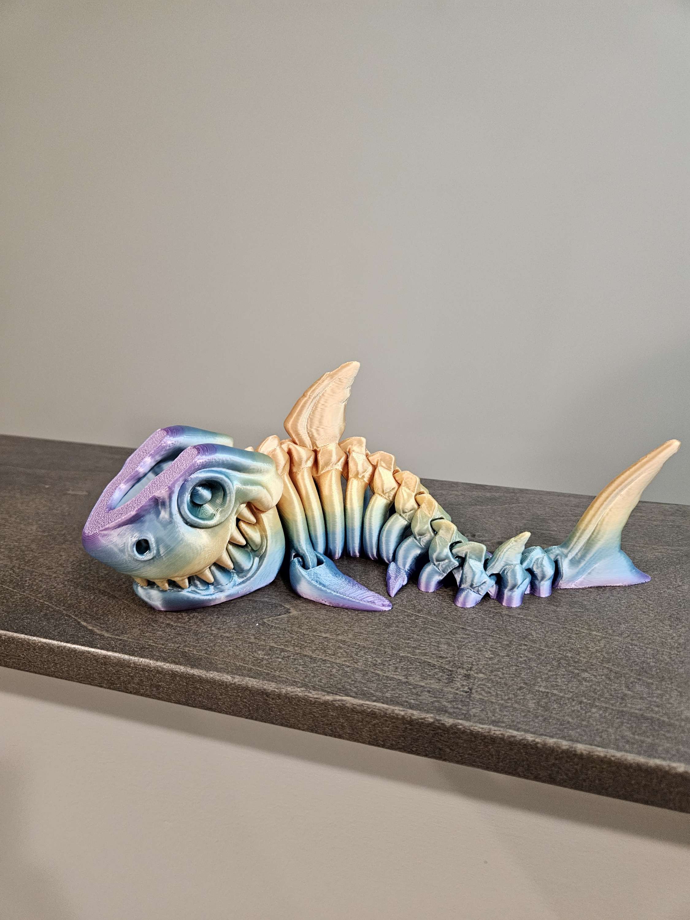 Sharks image 5