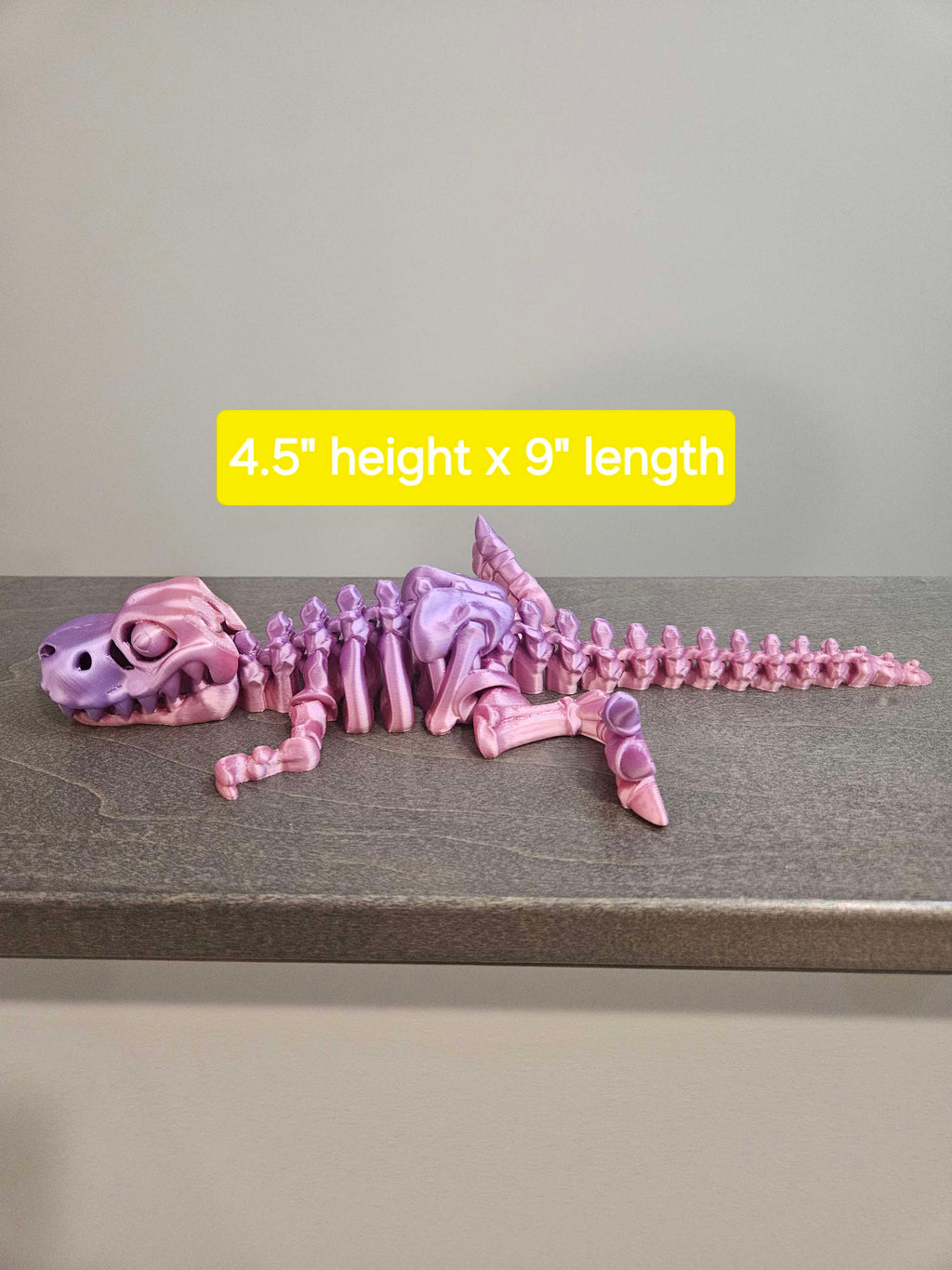 Skeleton T Rex  image 6