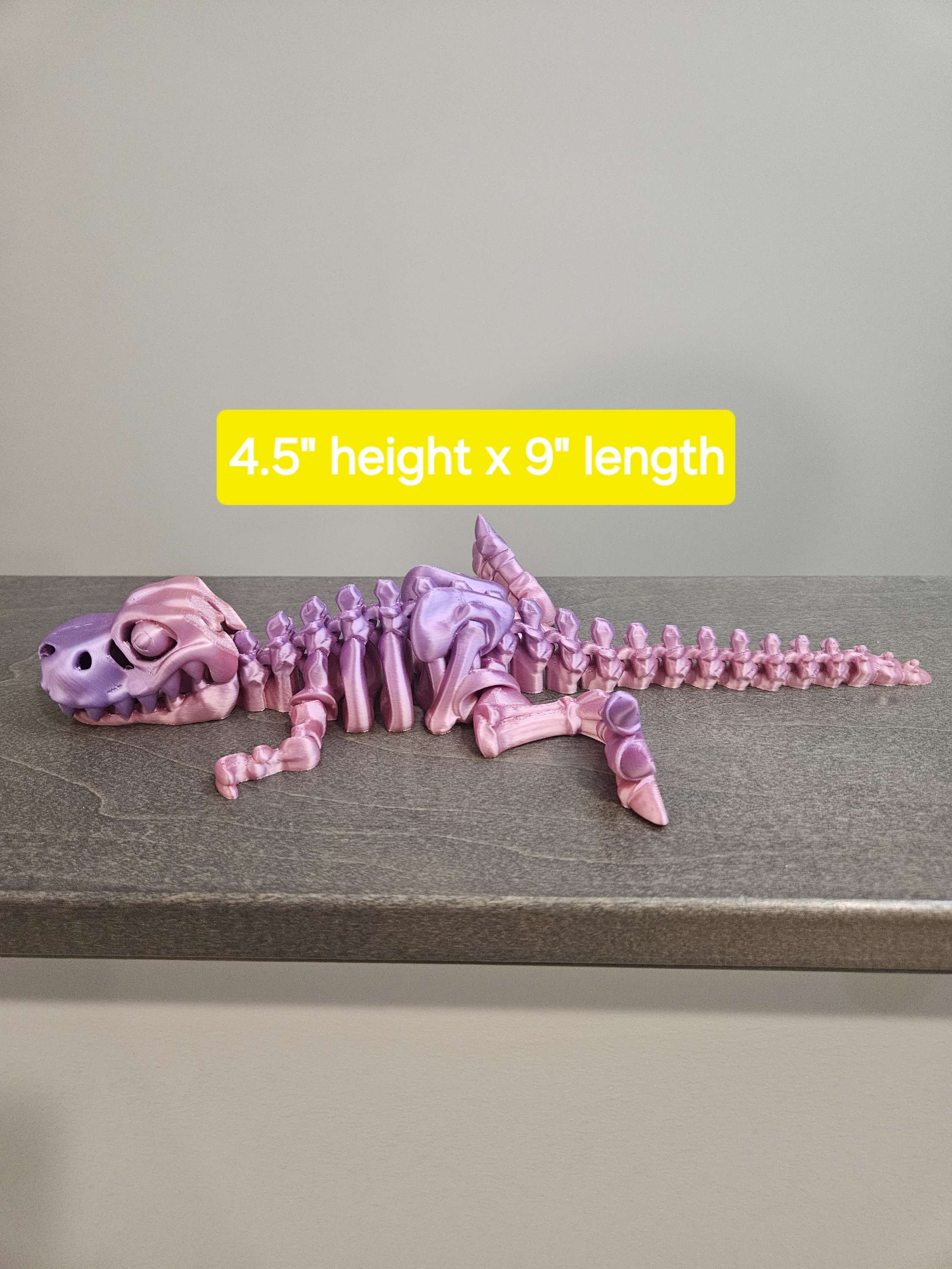 Skeleton T Rex  image 6