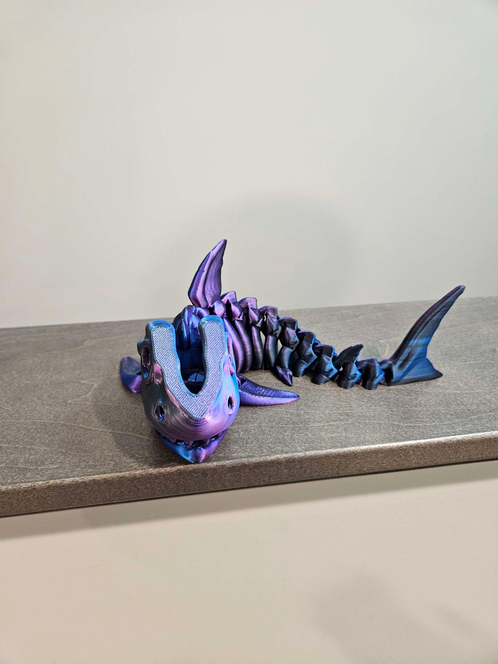 Sharks image 4