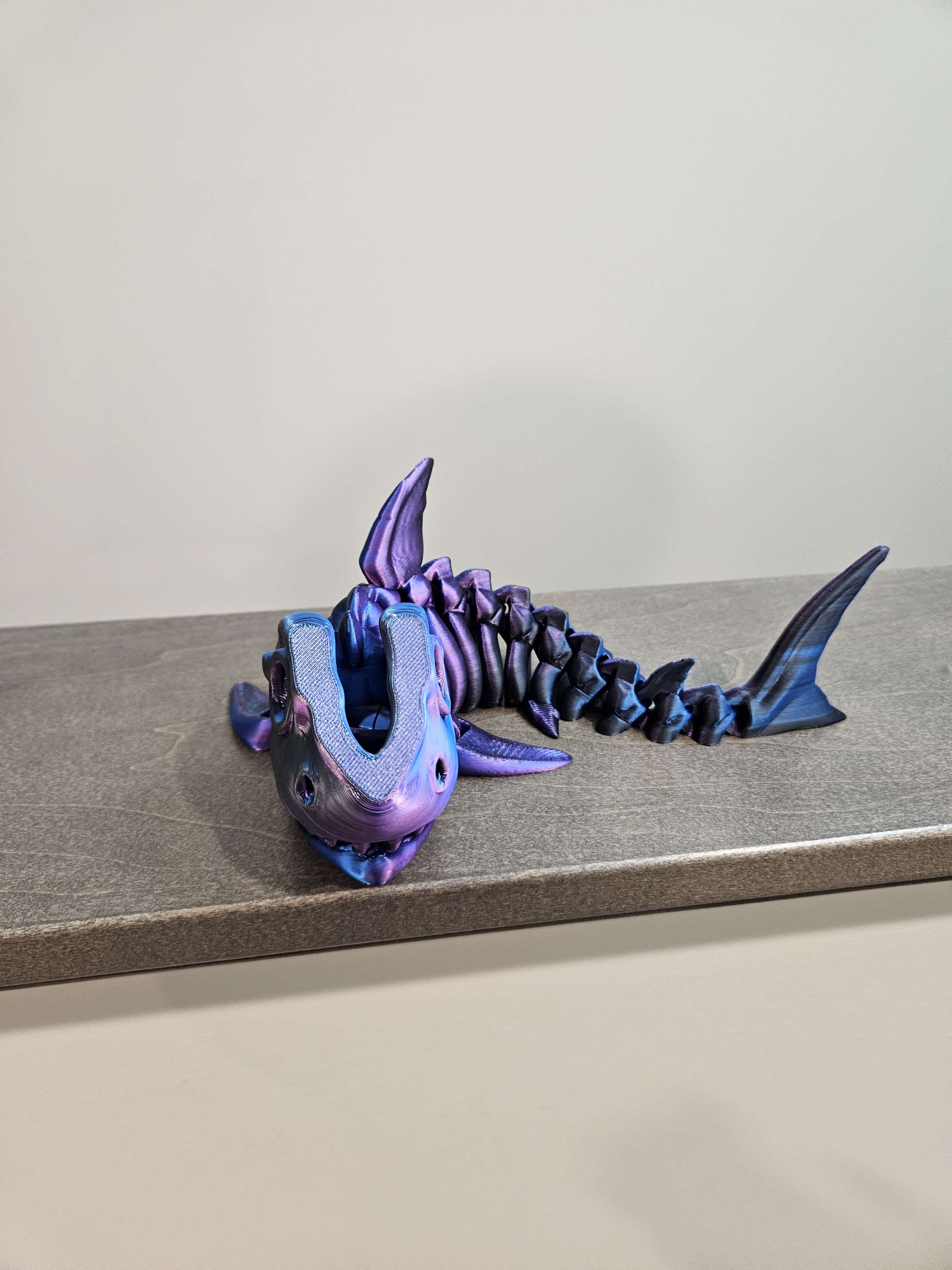 Sharks image 4