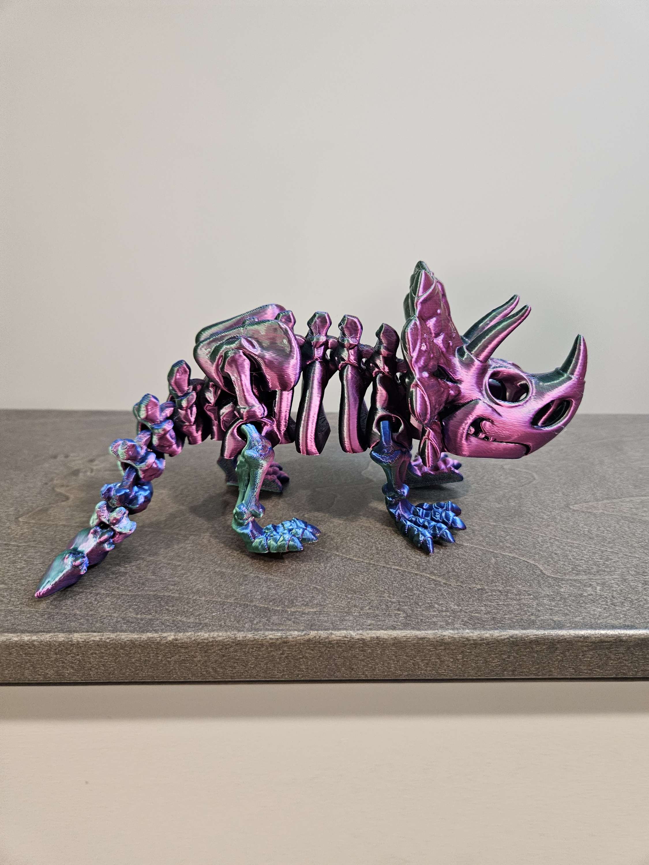 Skeleton Triceratops image 1