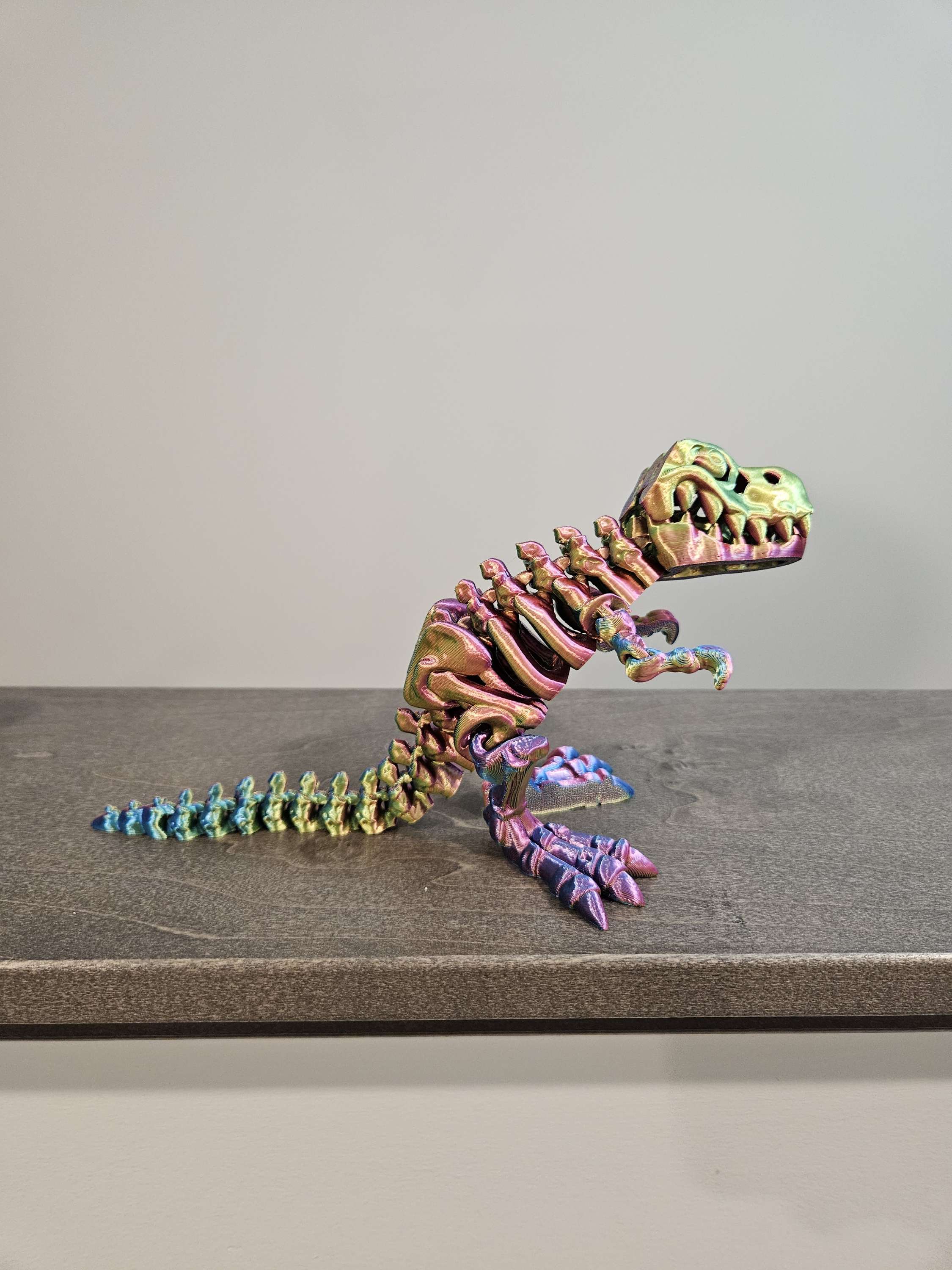 Skeleton T Rex  image 5