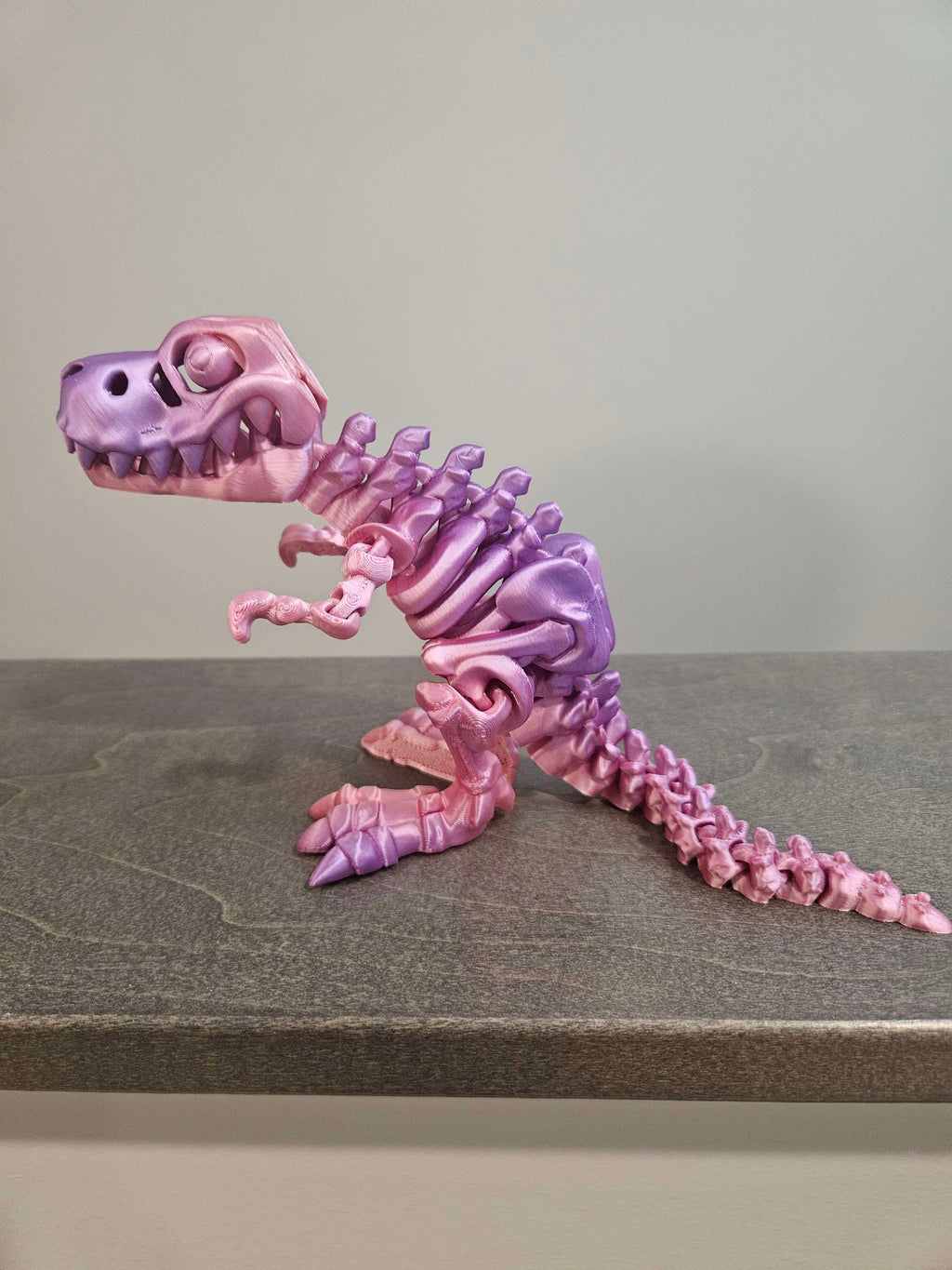 Skeleton T Rex  image 3