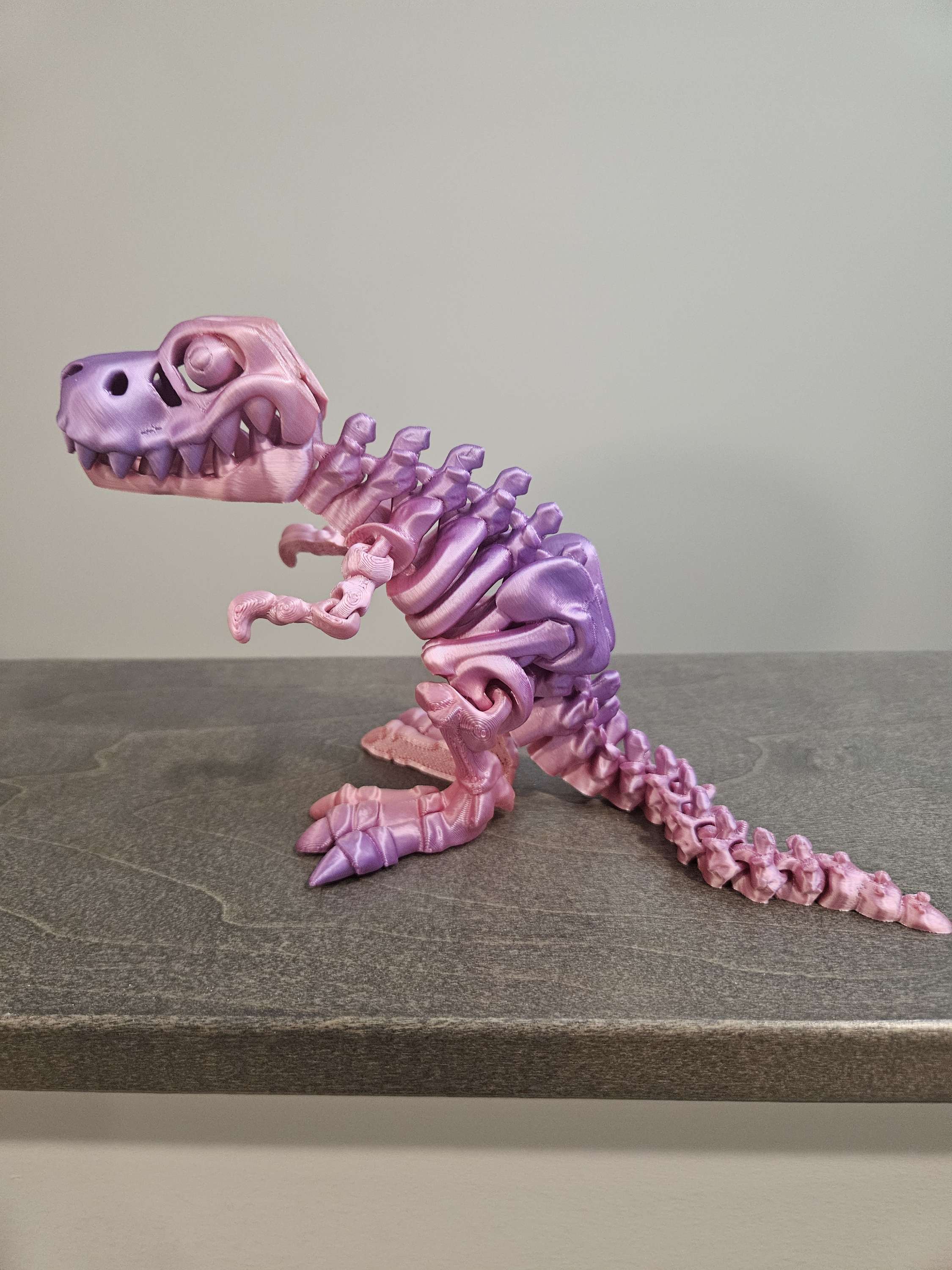 Skeleton T Rex  image 3