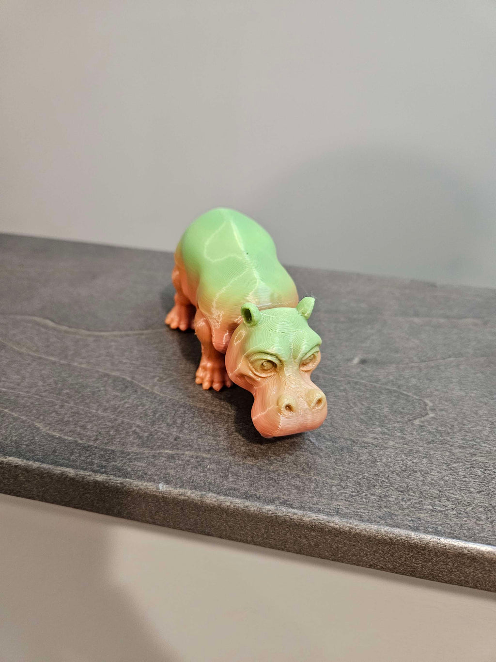 Hippo  image 0