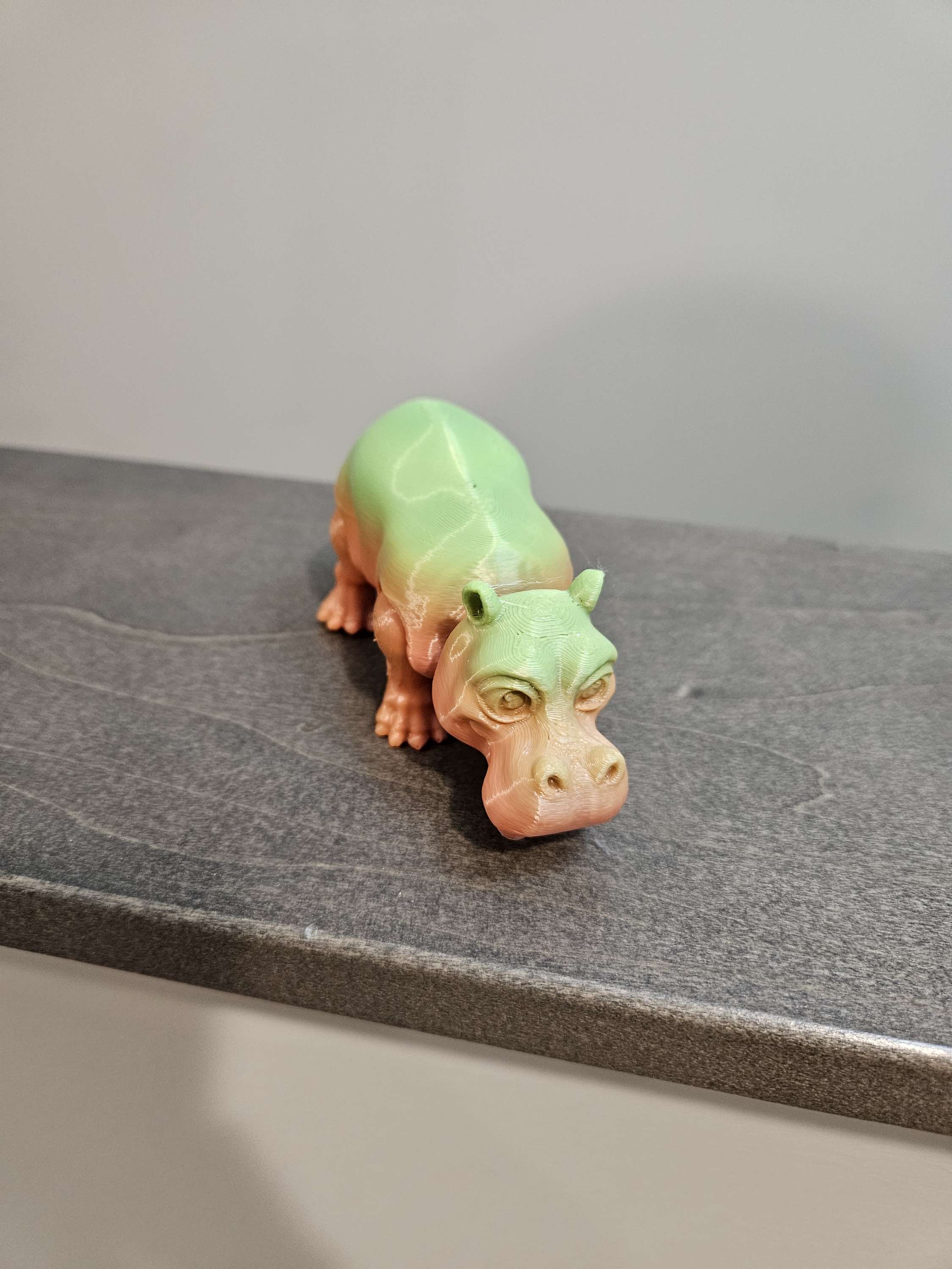 Hippo  image 0