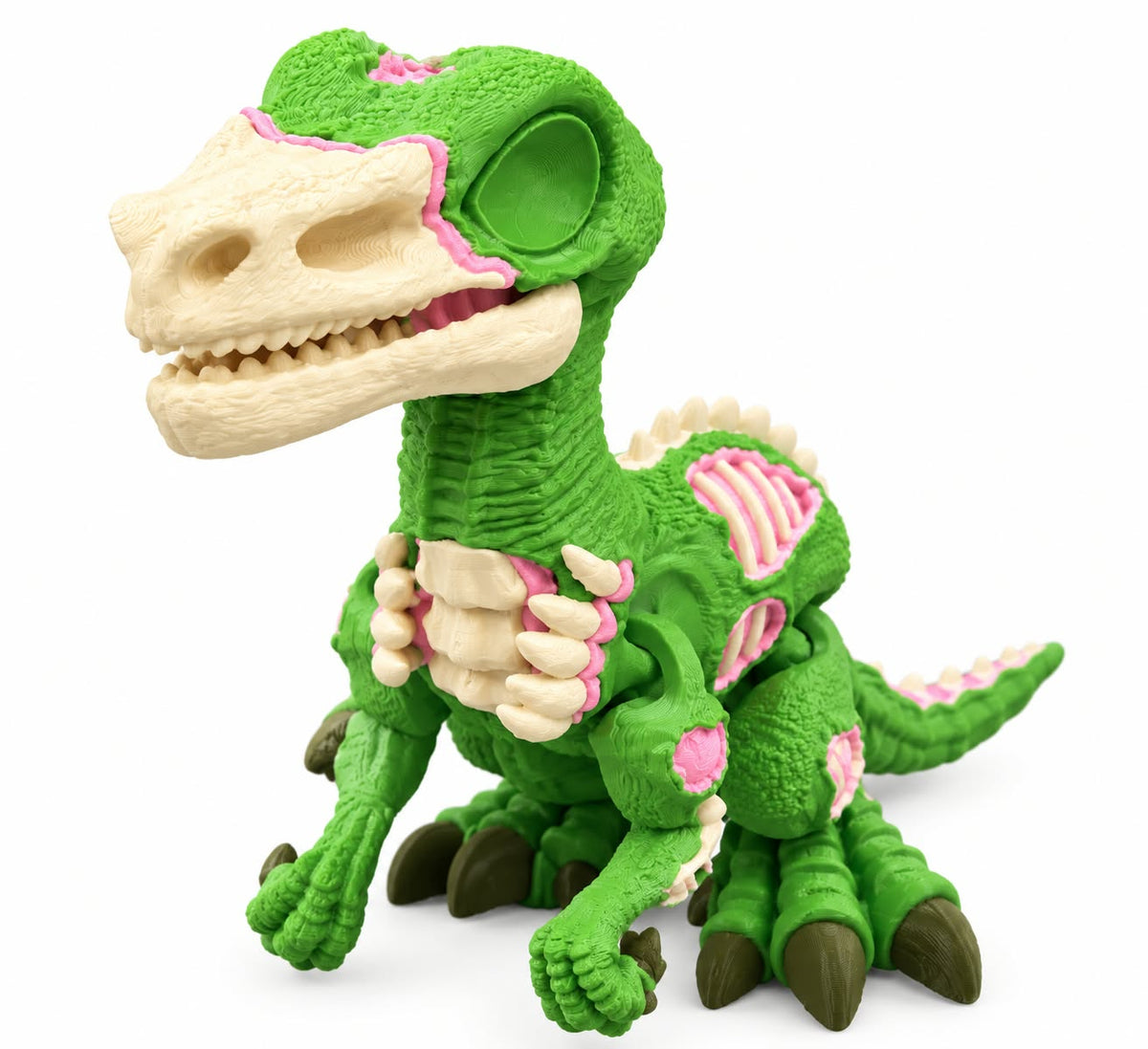 Flexi Zombie Raptor fidget toy by DJM 3D SHOP, featuring a green zombie raptor design with flexible, bendable parts for stress relief.