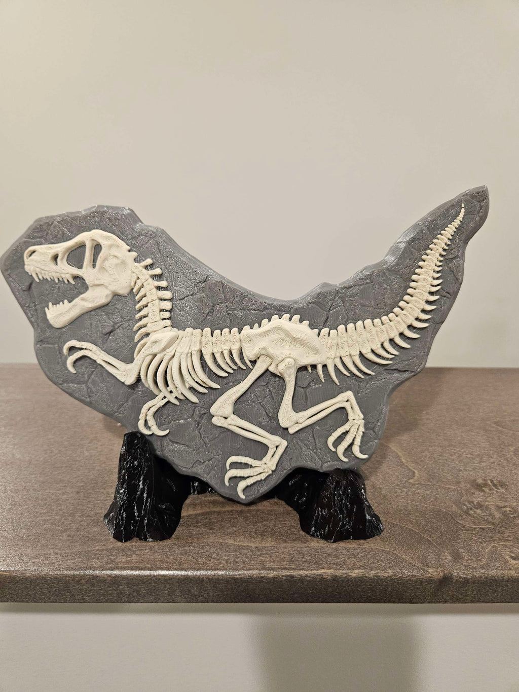 Dino Evidence image 3