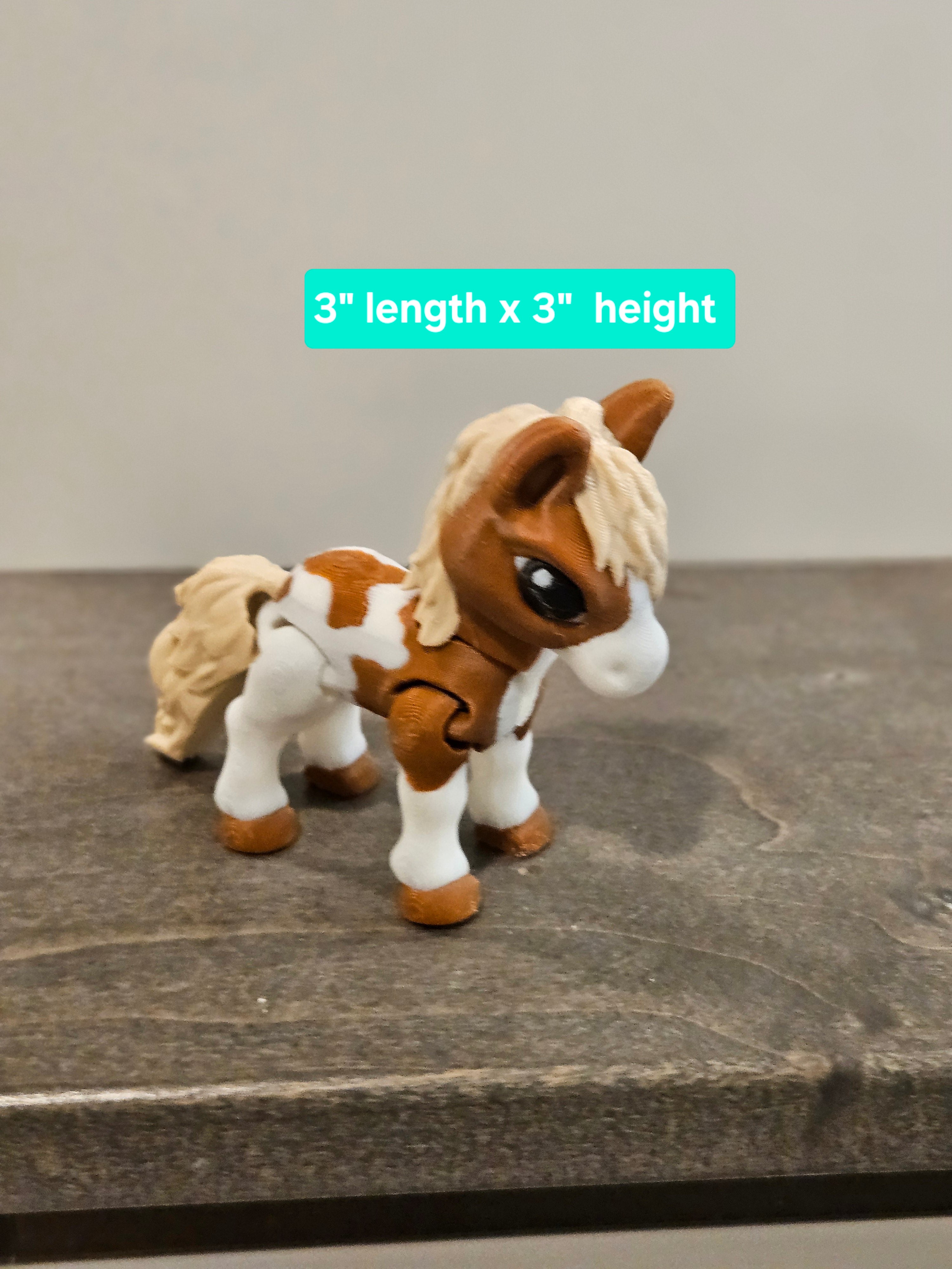 Cute baby horse  image 0