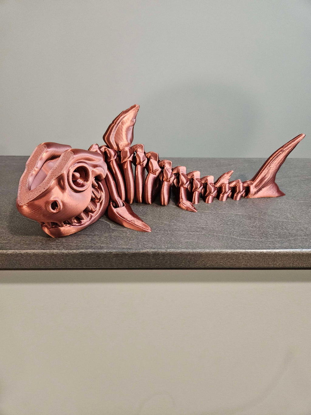 Sharks image 1