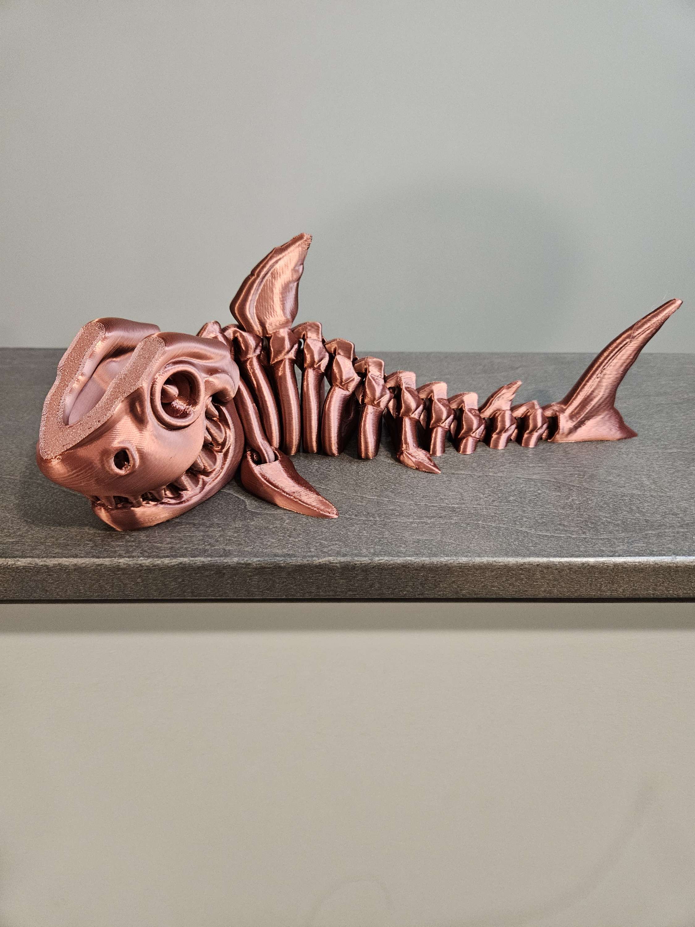 Sharks image 1