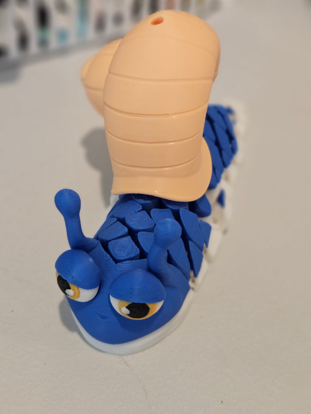 Snail  image 1