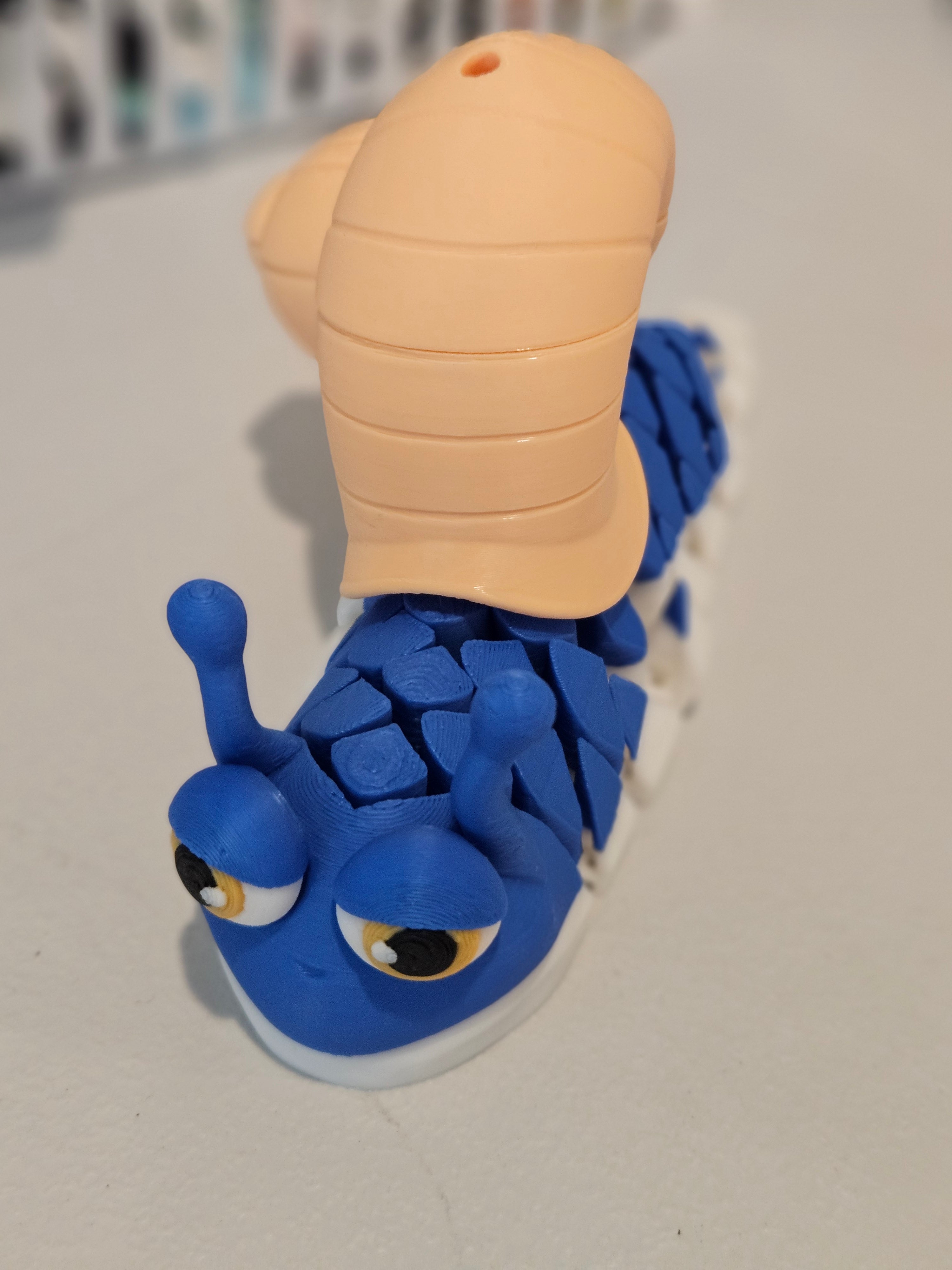 Snail  image 1